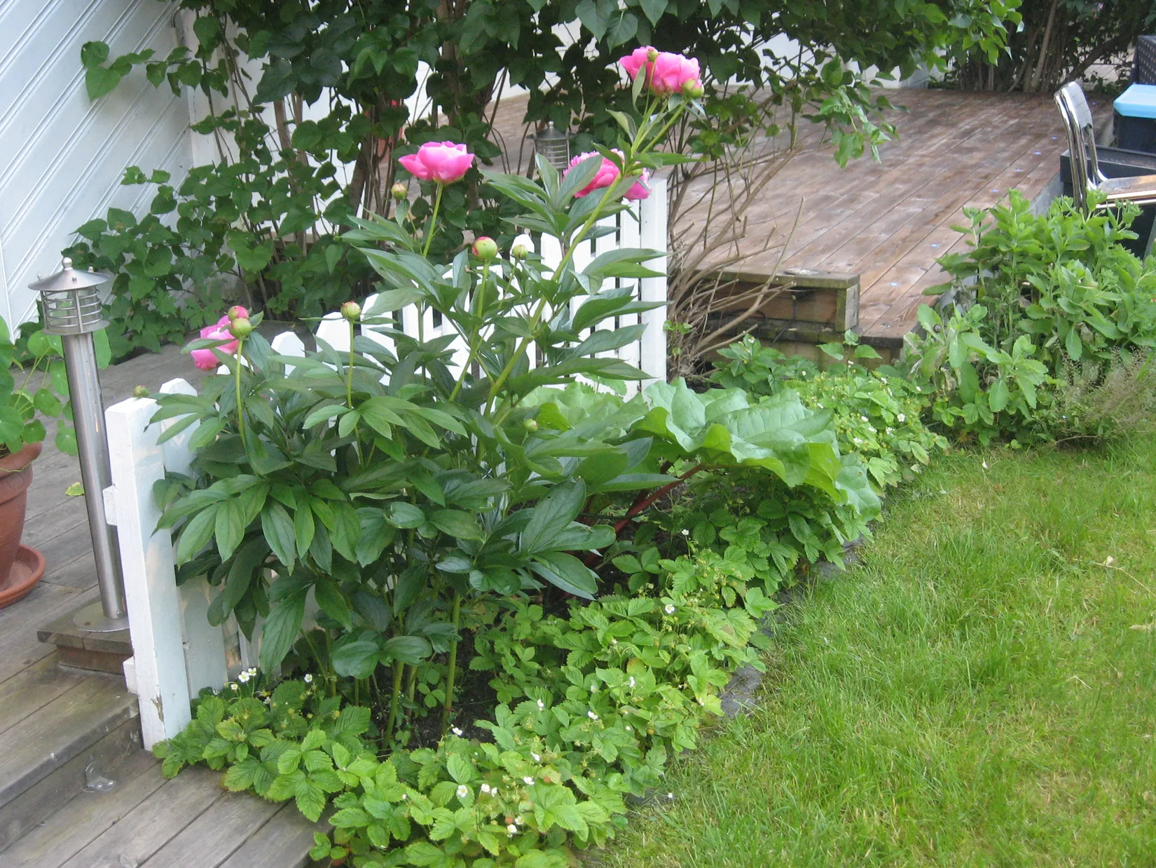 Bostadsrätt, Sidensvansvägen 83, Sjöberg, Sollentuna