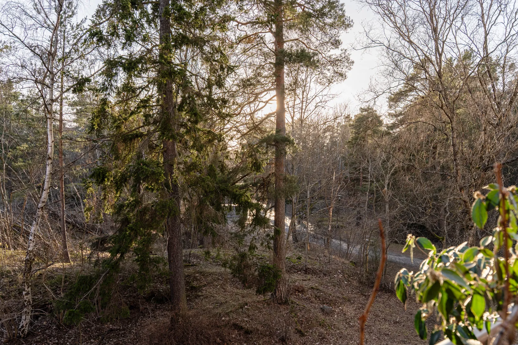 Bostadsrätt, Skidvägen 2, Stockholm