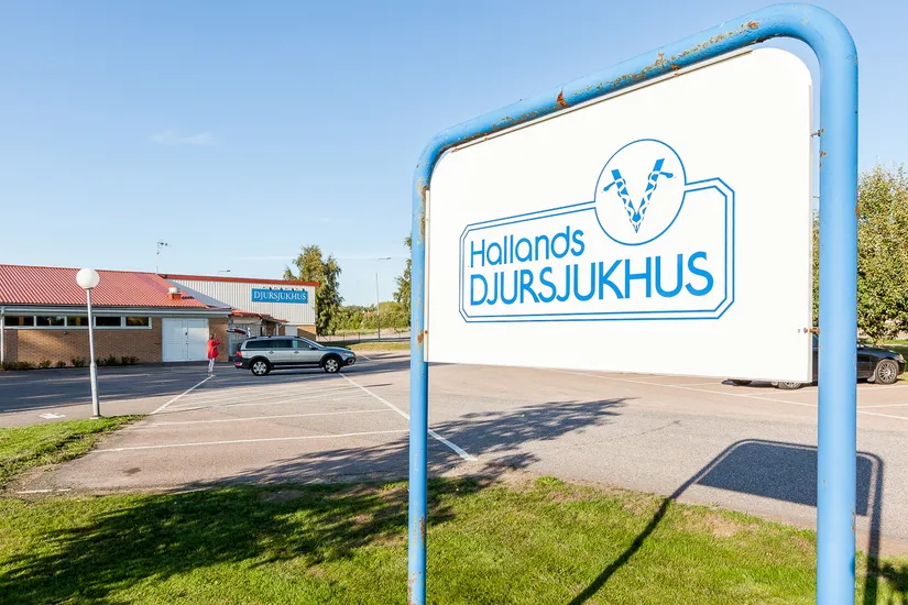 Villa, Rosgatan 17, Slöinge, Falkenberg