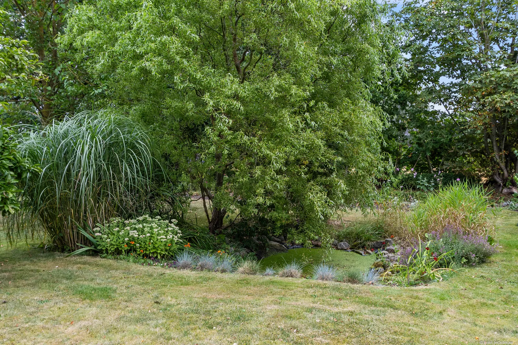 Gård/Skog, Rönåsvägen 86-21, Rönås, Sjöbo