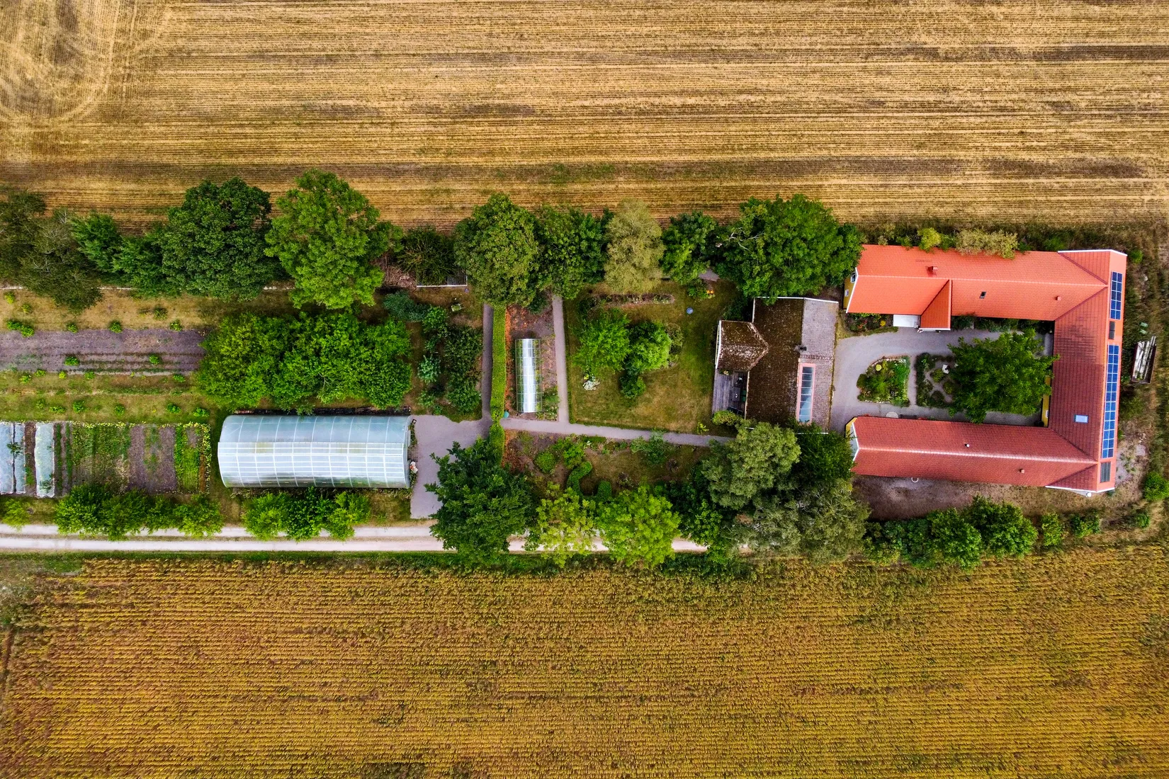 Gård/Skog, Rönåsvägen 86-21, Rönås, Sjöbo
