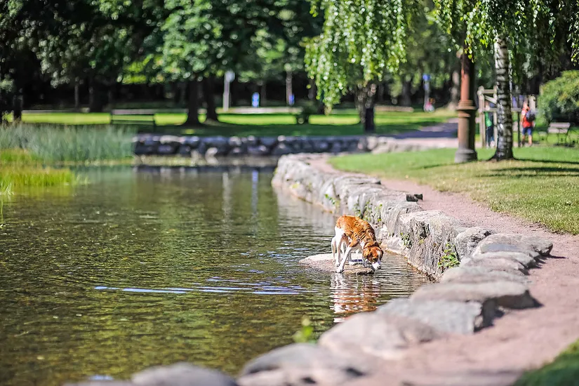 Bostadsrätt, Övre Hallegatan 54, Centrala Hisingen, Göteborg