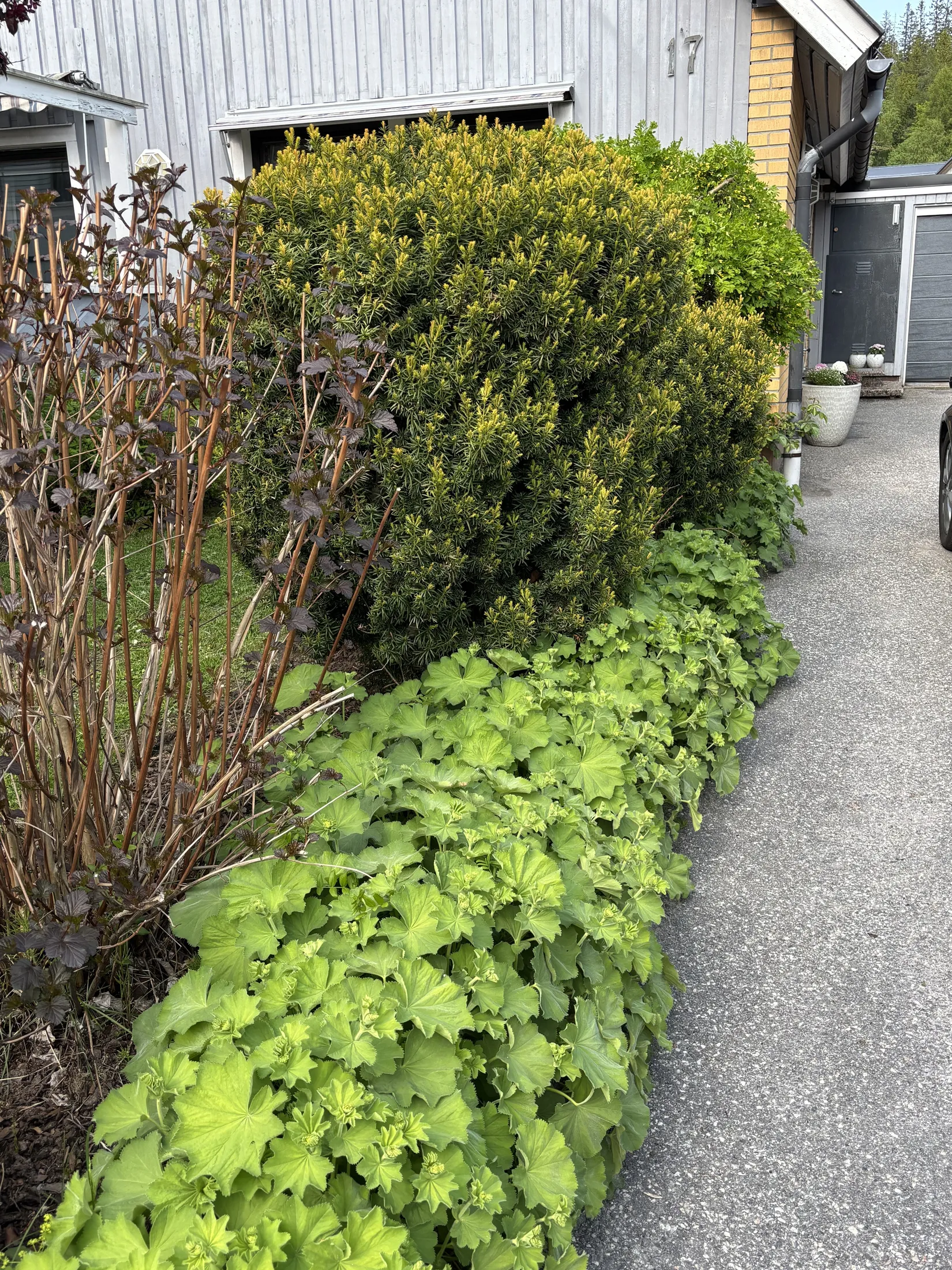 Radhus, Flöjtgatan 17, Gånsvik, Härnösand