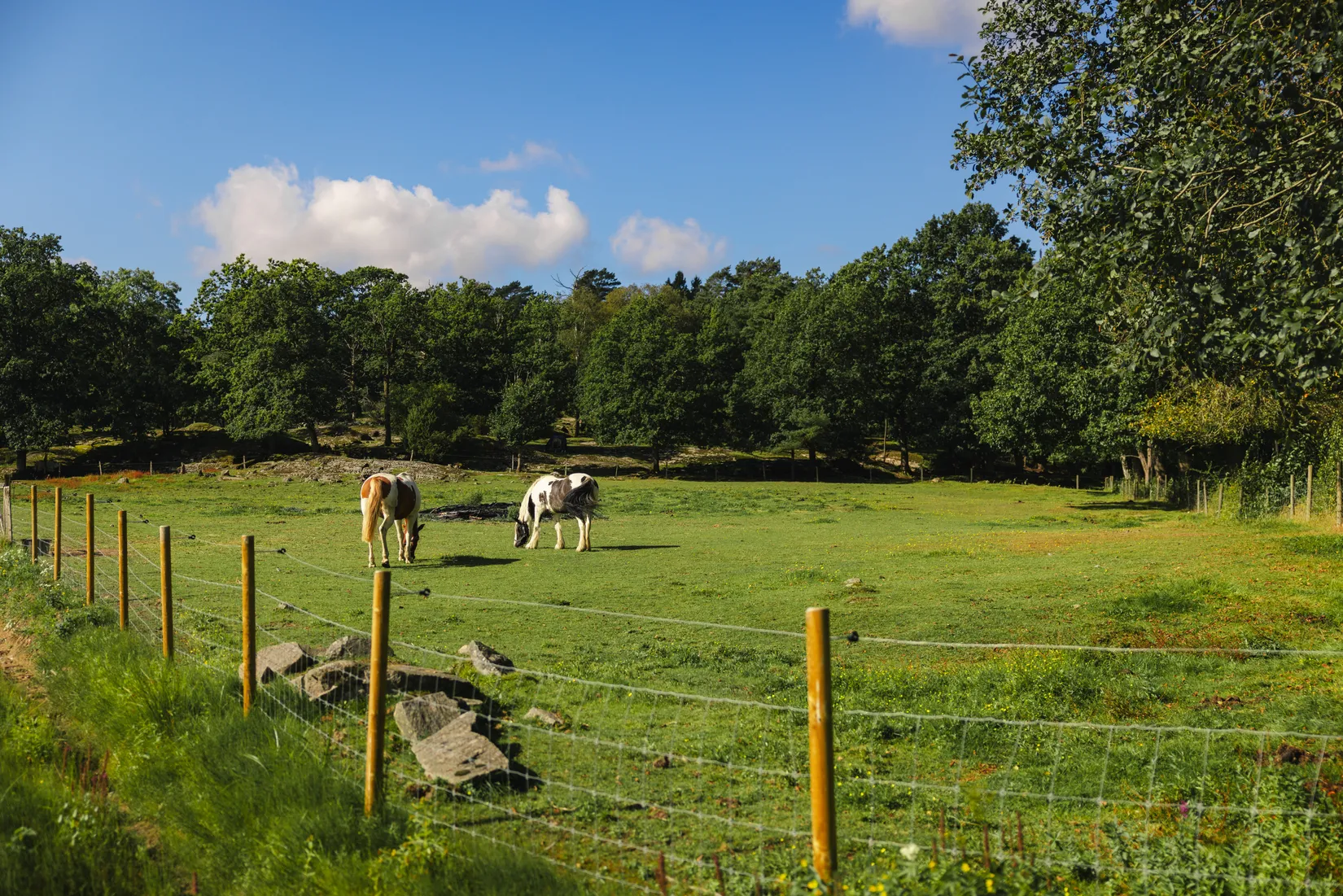Bostadsrätt, Lillekärr södra 206, Hisings Kärra, Göteborg