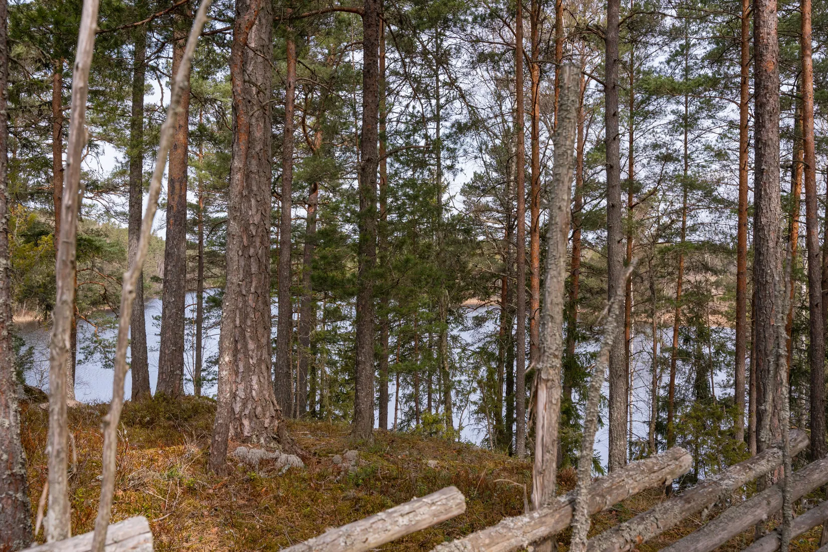 Fritidshus, Lämmenäsvägen 20, Lämmenäs, Finspång