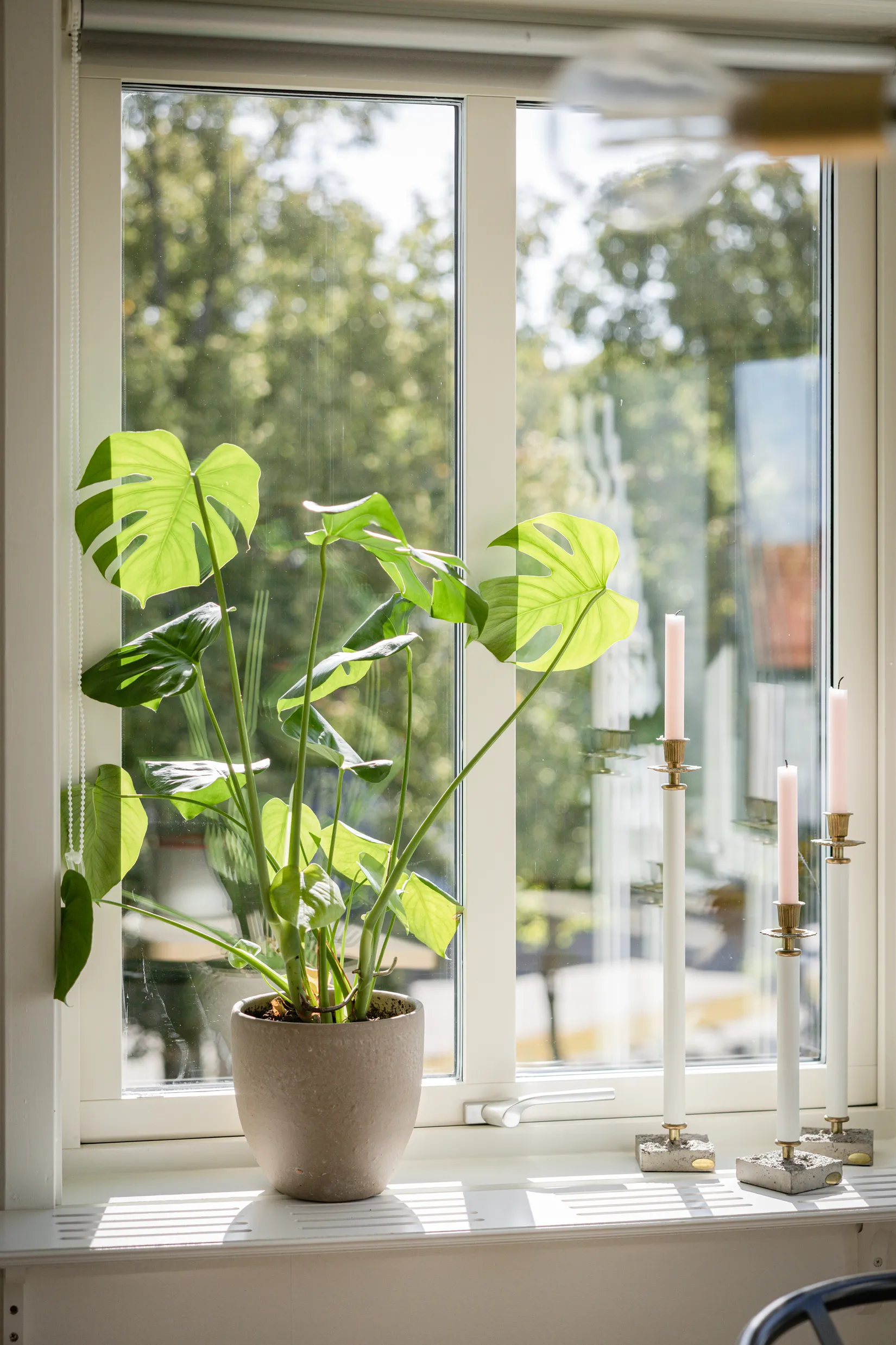 Bostadsrätt, Skogsallén 6, Kungsbacka - Västra Villastaden, Kungsbacka