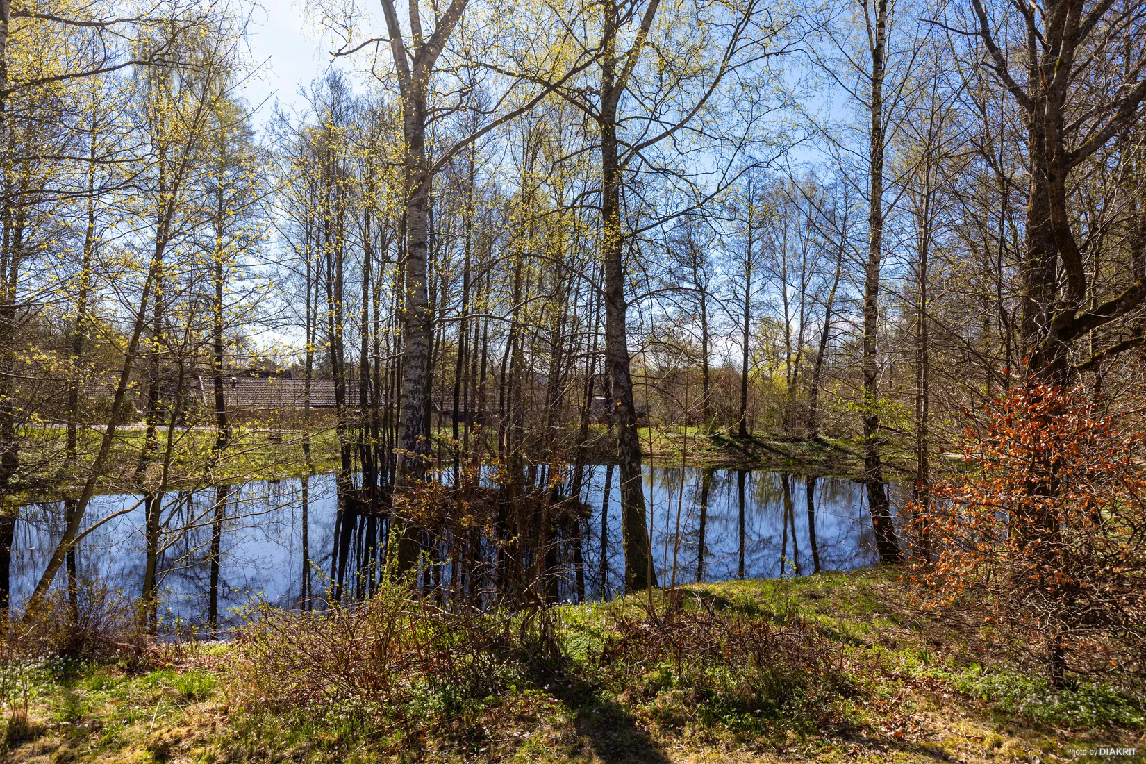 Villa, Körsbärsliden 2, Örkelljunga