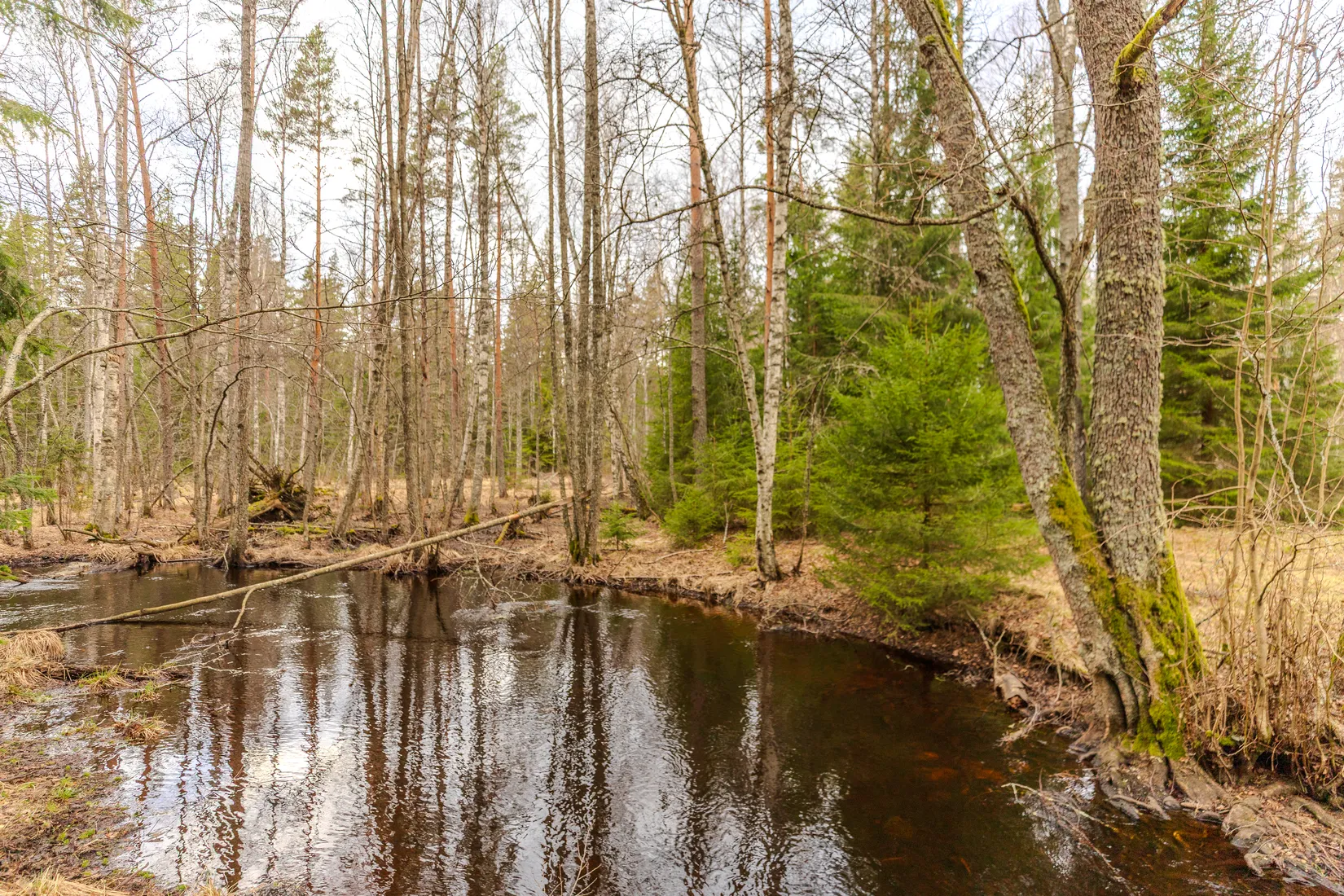 Villa, Fruhammarstorp 1, Ydre