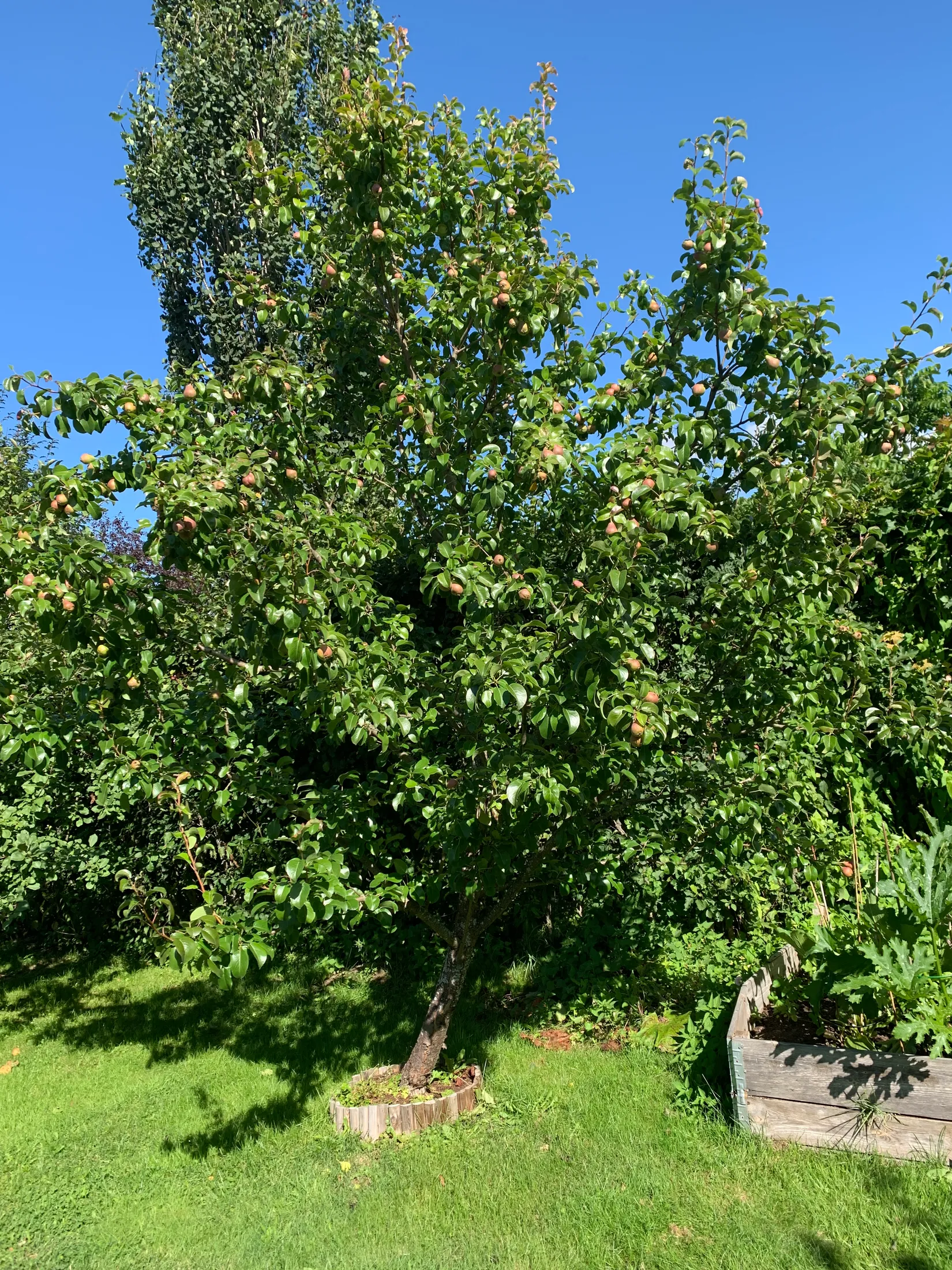 Villa, Hönsbärsvägen 13, Böleäng, Umeå