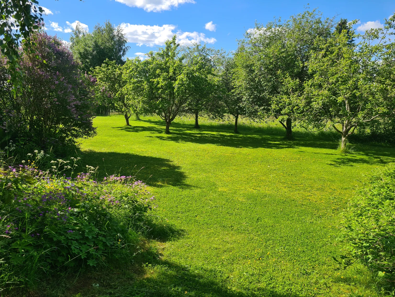 Villa, Kompanivägen 18, Oljonsbyn, Orsa