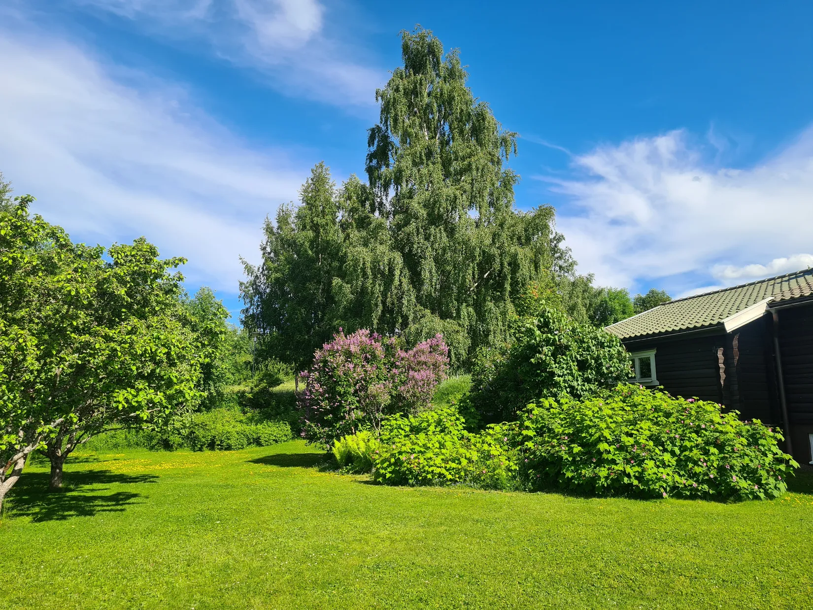 Villa, Kompanivägen 18, Oljonsbyn, Orsa