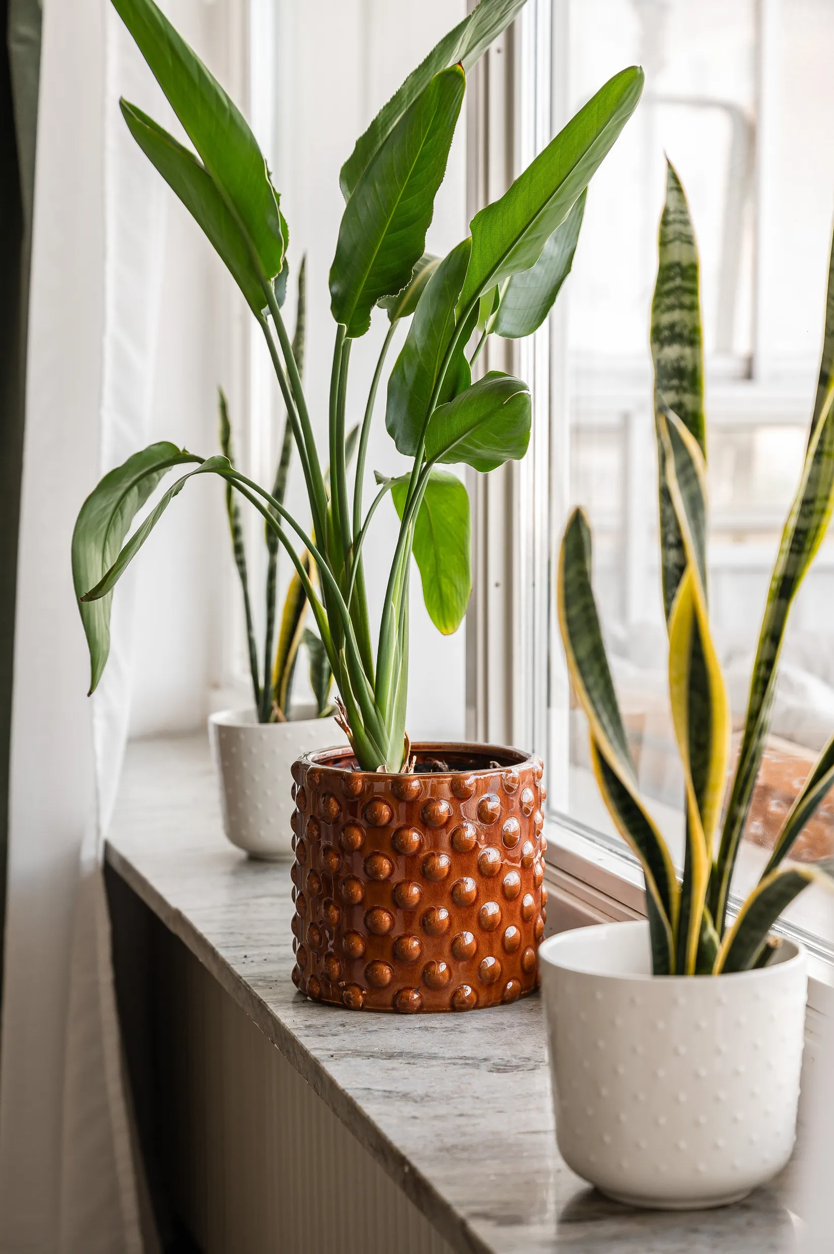 Bostadsrätt, Brunnshusgatan 31 C, Centrum, Härnösand