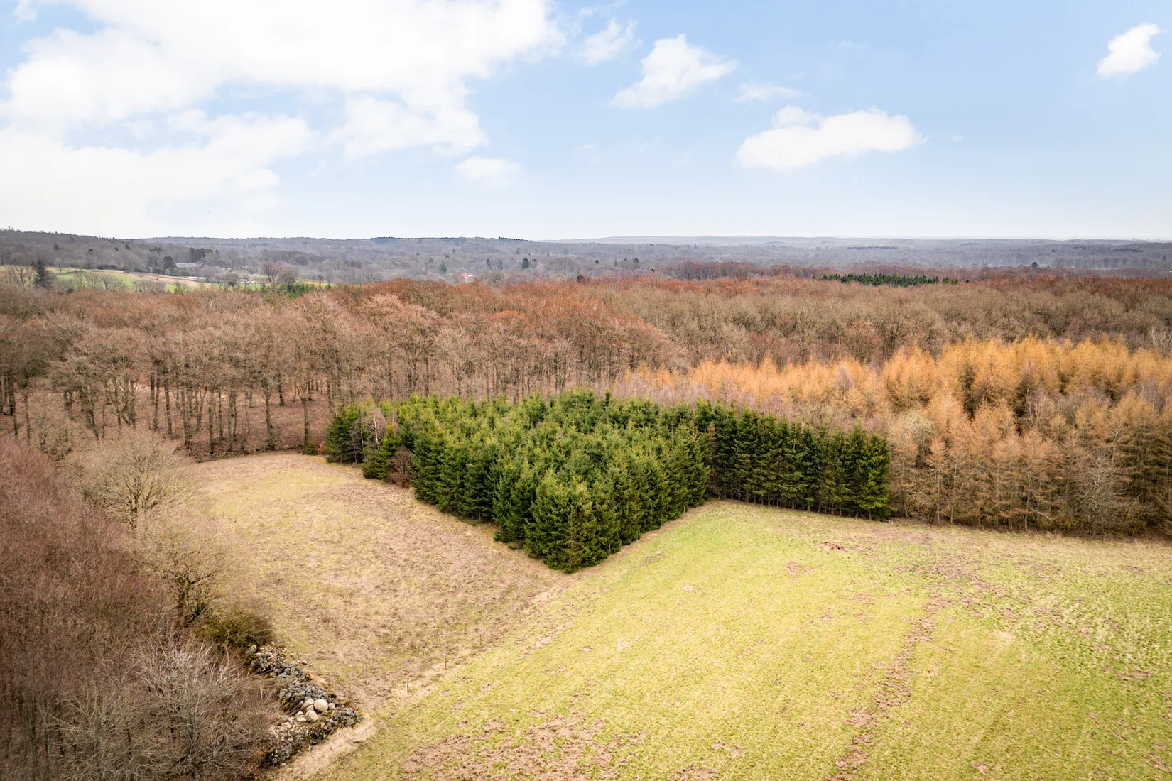 Gård/Skog, Åkarpsvägen 82, Åkarp, Raskarum, Sankt Olof, Simrishamn