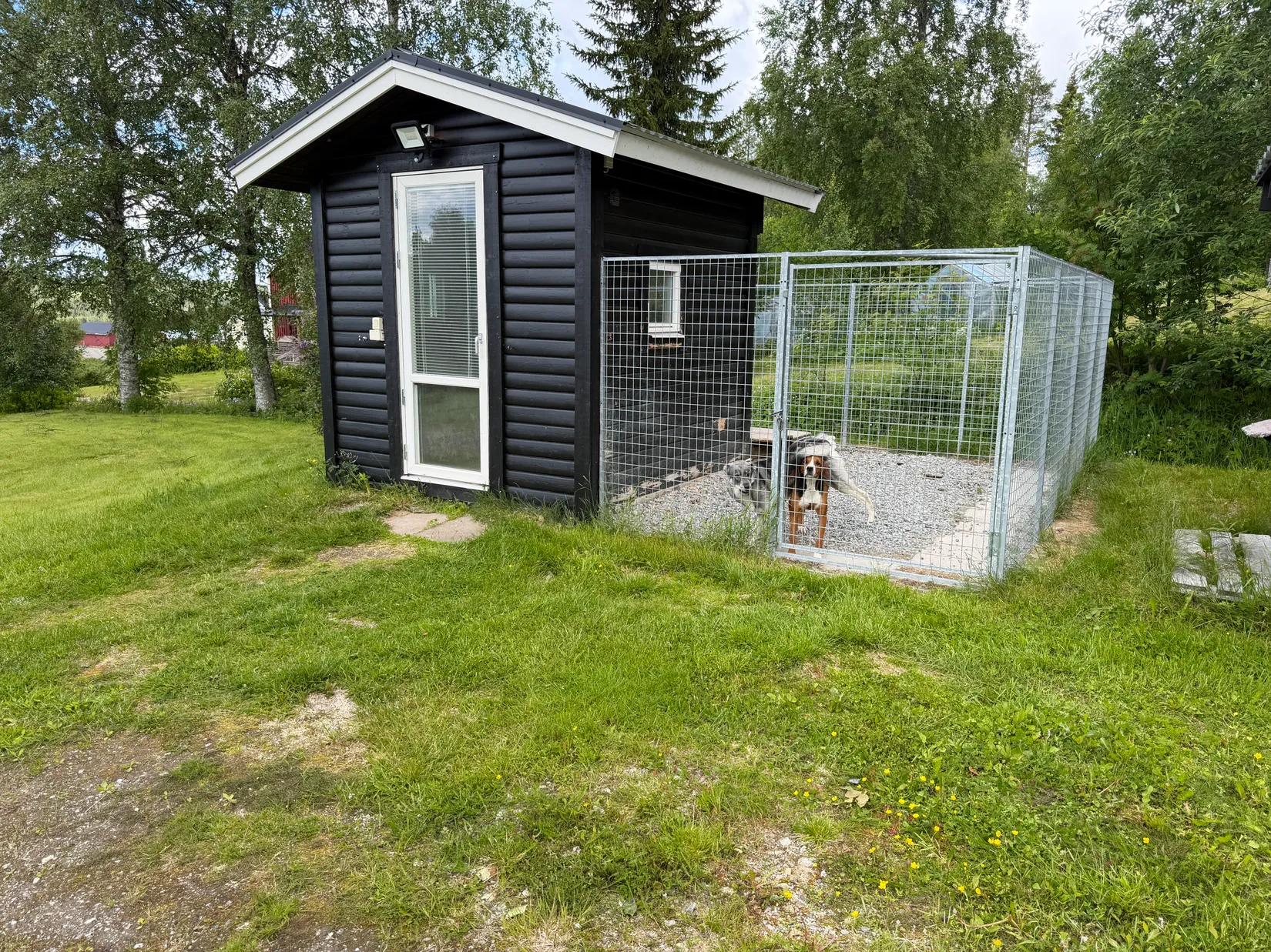 Gård/Skog, Risliden 29, Risliden, Norsjö