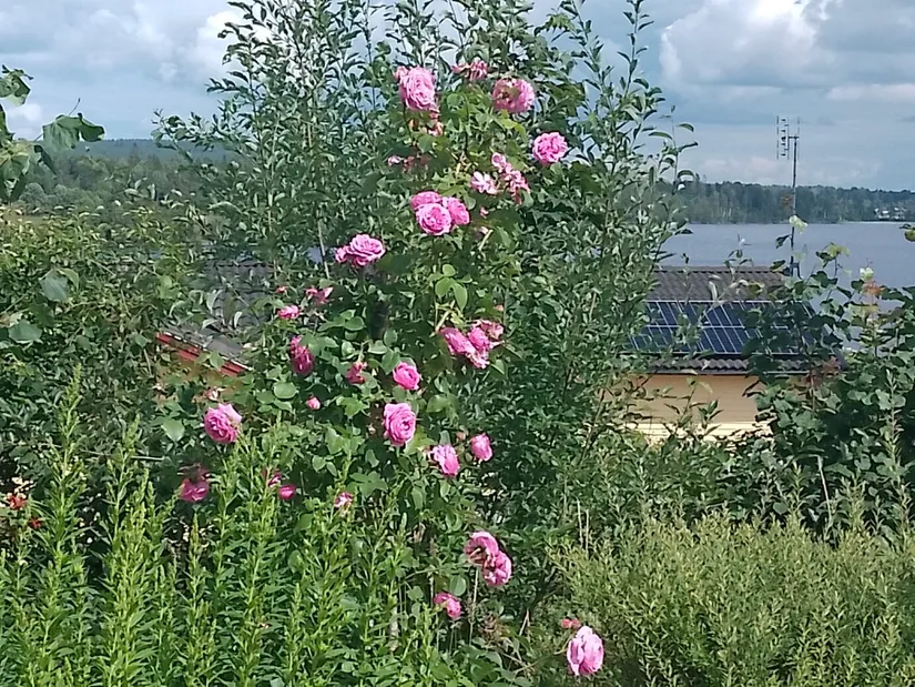 Fritidshus, Kolarstigen 5, Torhyttan, Lekeberg