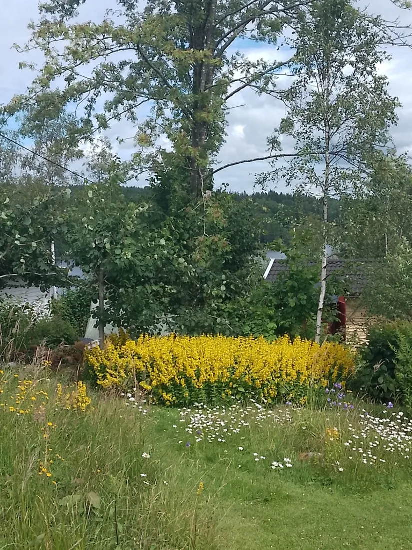 Fritidshus, Kolarstigen 5, Torhyttan, Lekeberg