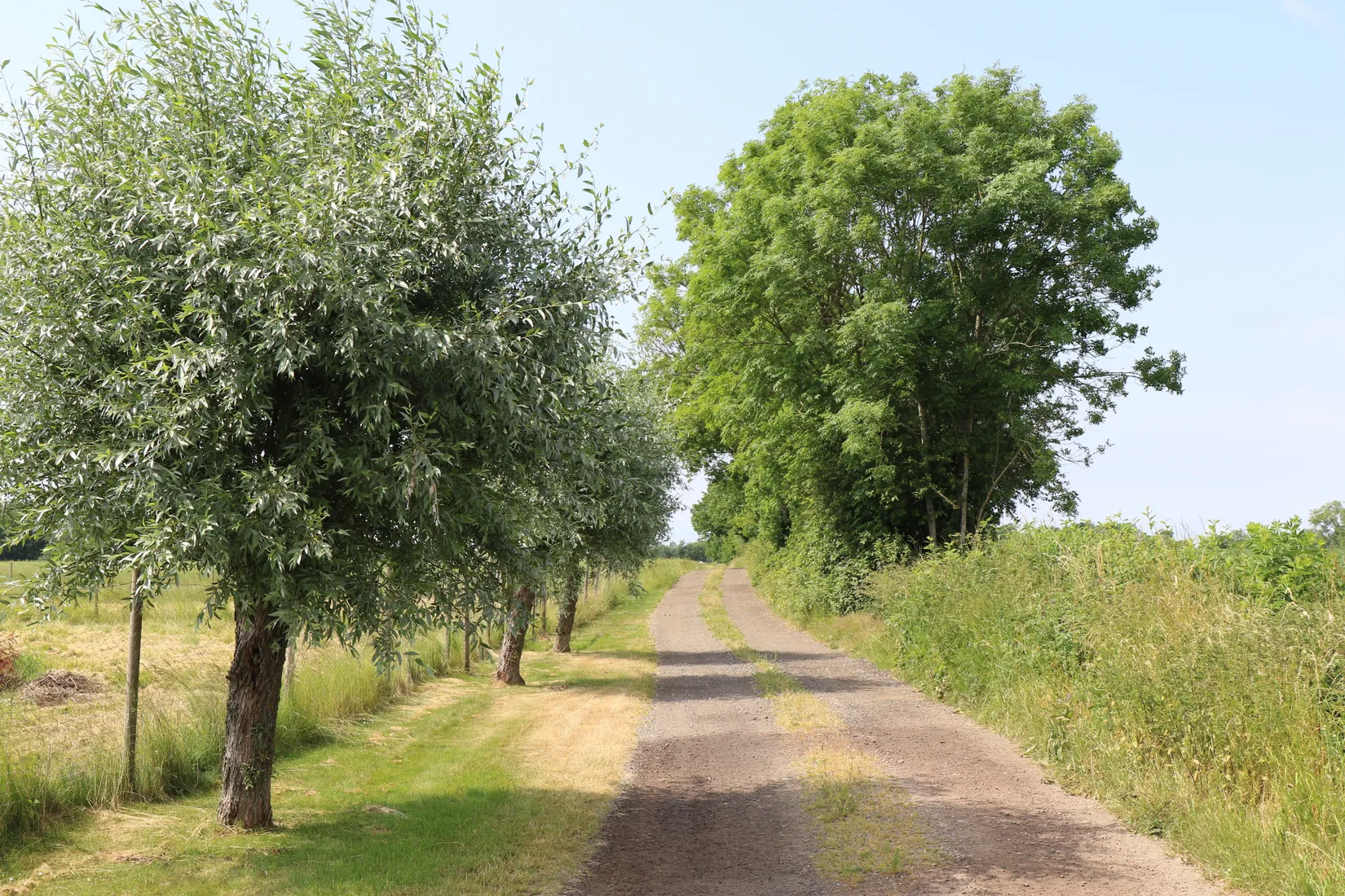Gård/Skog, Hassle Klövhus, Stehag, Eslöv