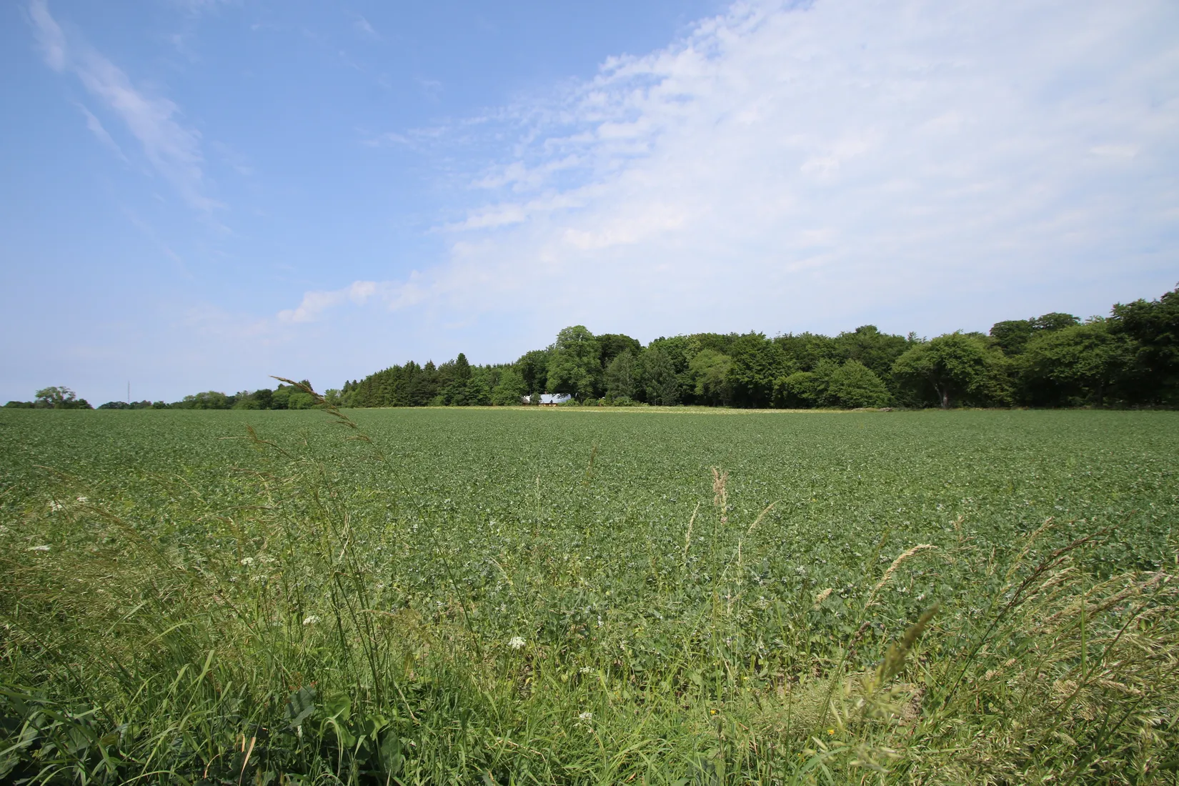 Gård/Skog, Hassle Klövhus, Stehag, Eslöv