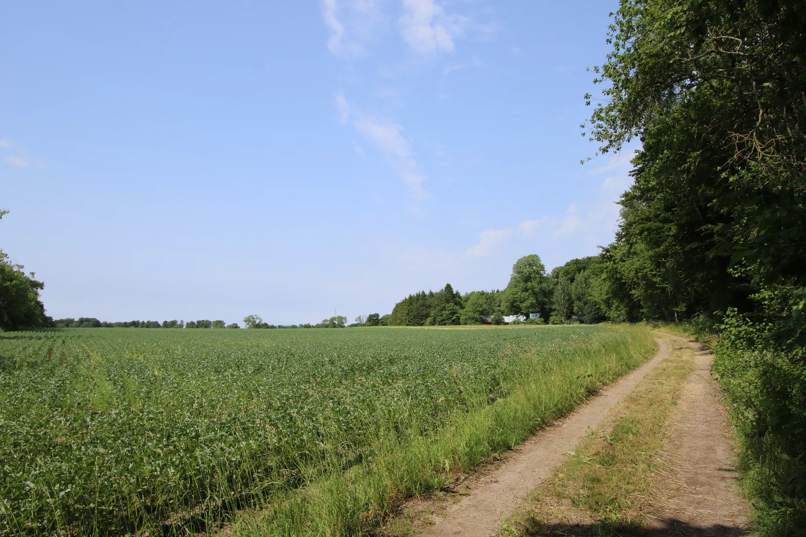 Gård/Skog, Hassle Klövhus, Stehag, Eslöv