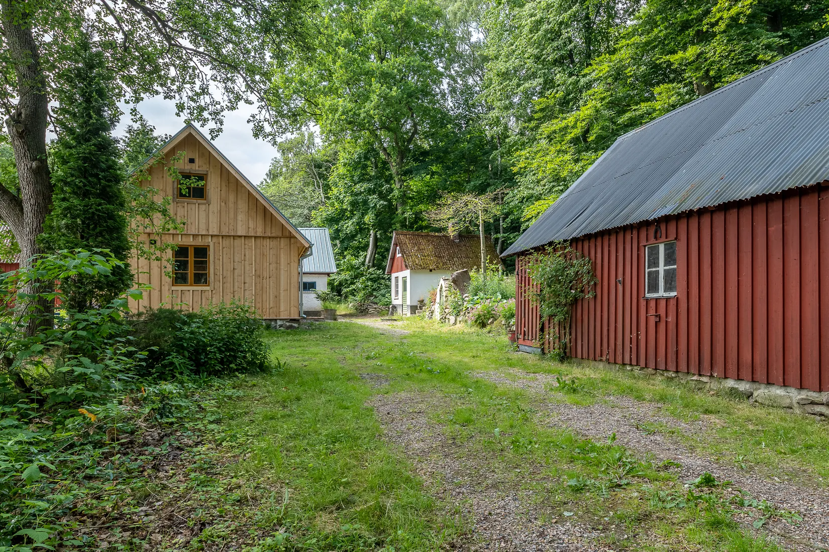 Gård/Skog, Hassle Klövhus, Stehag, Eslöv