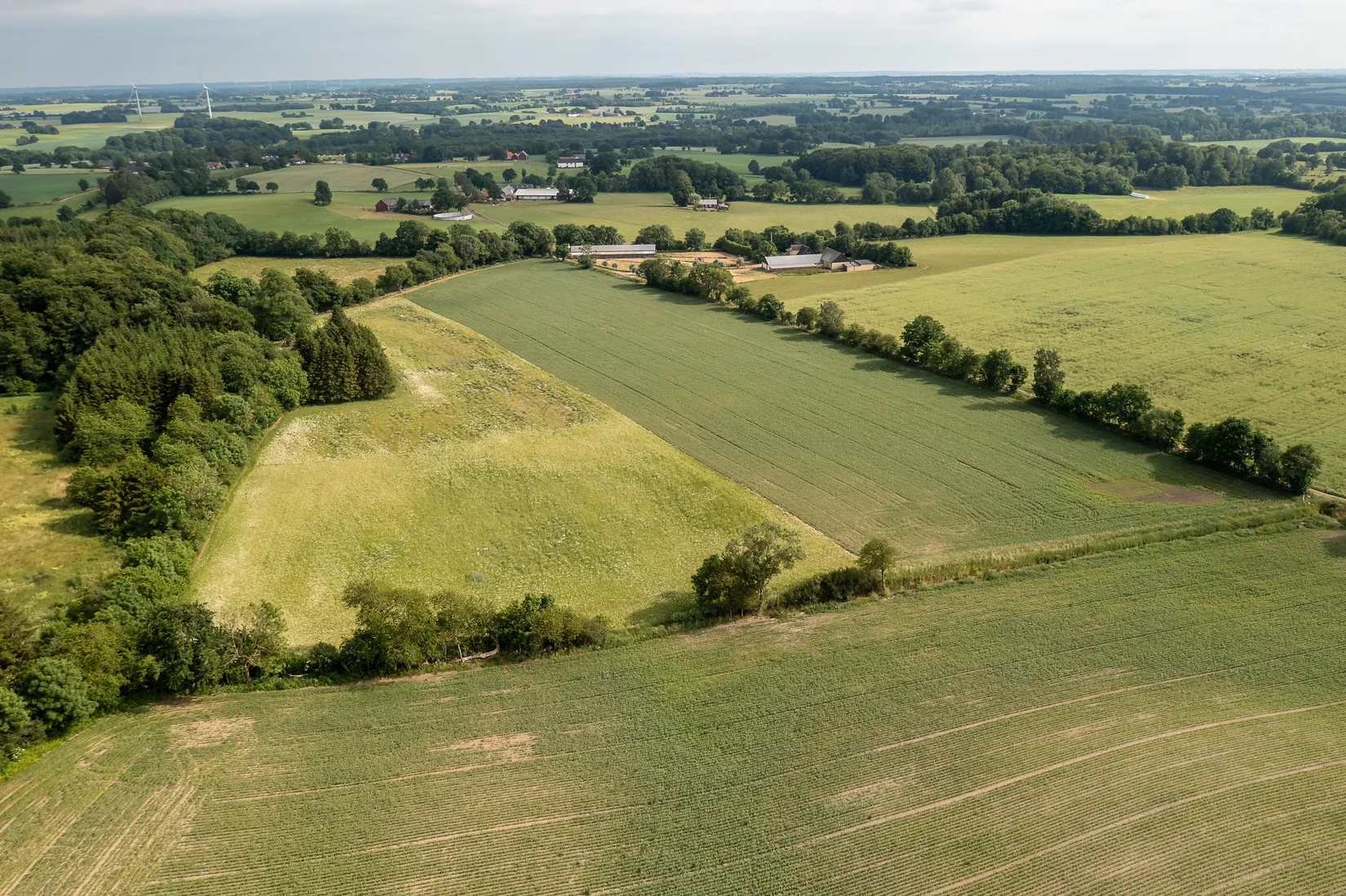 Gård/Skog, Hassle Klövhus, Stehag, Eslöv