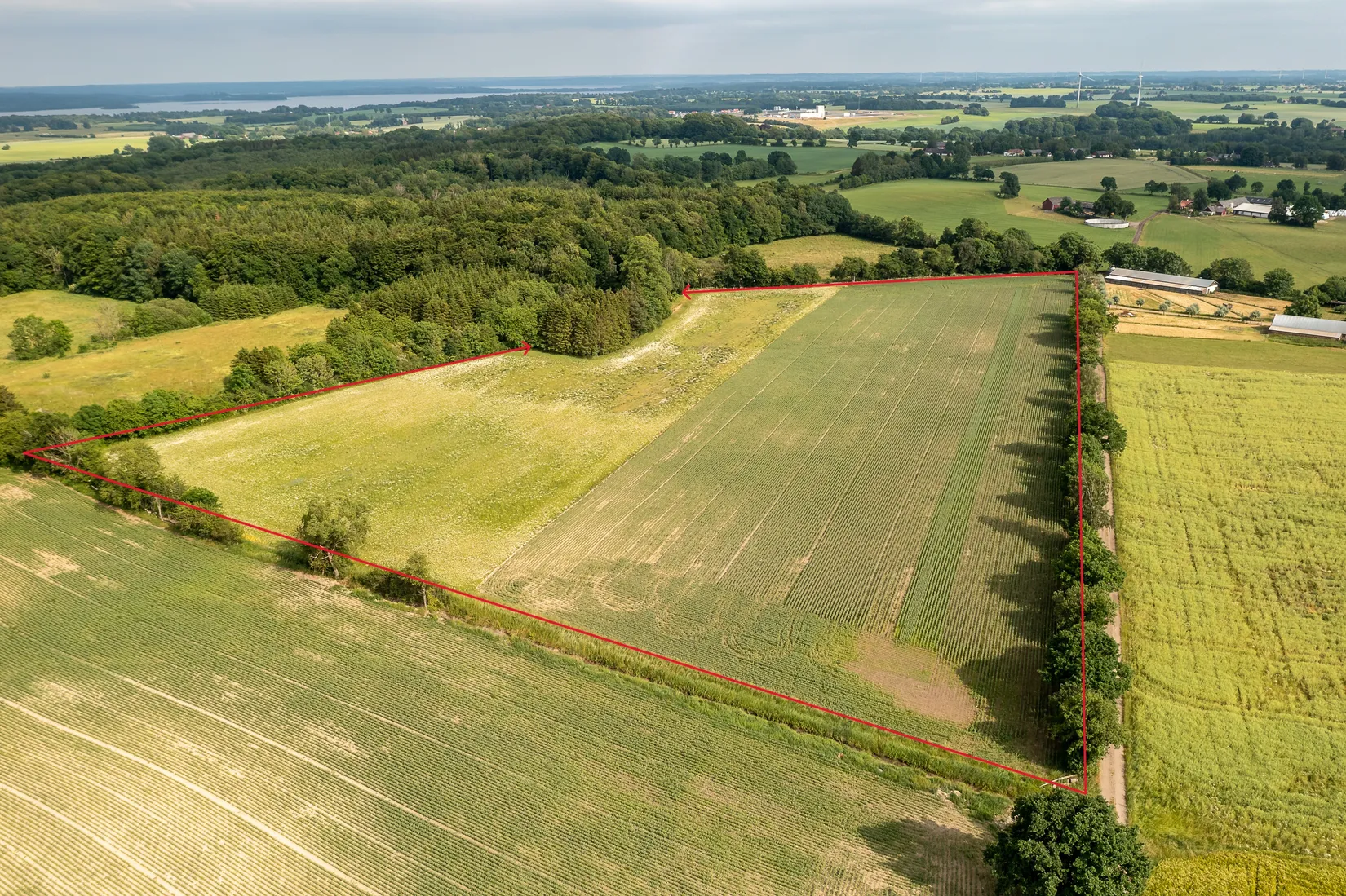 Gård/Skog, Hassle Klövhus, Stehag, Eslöv