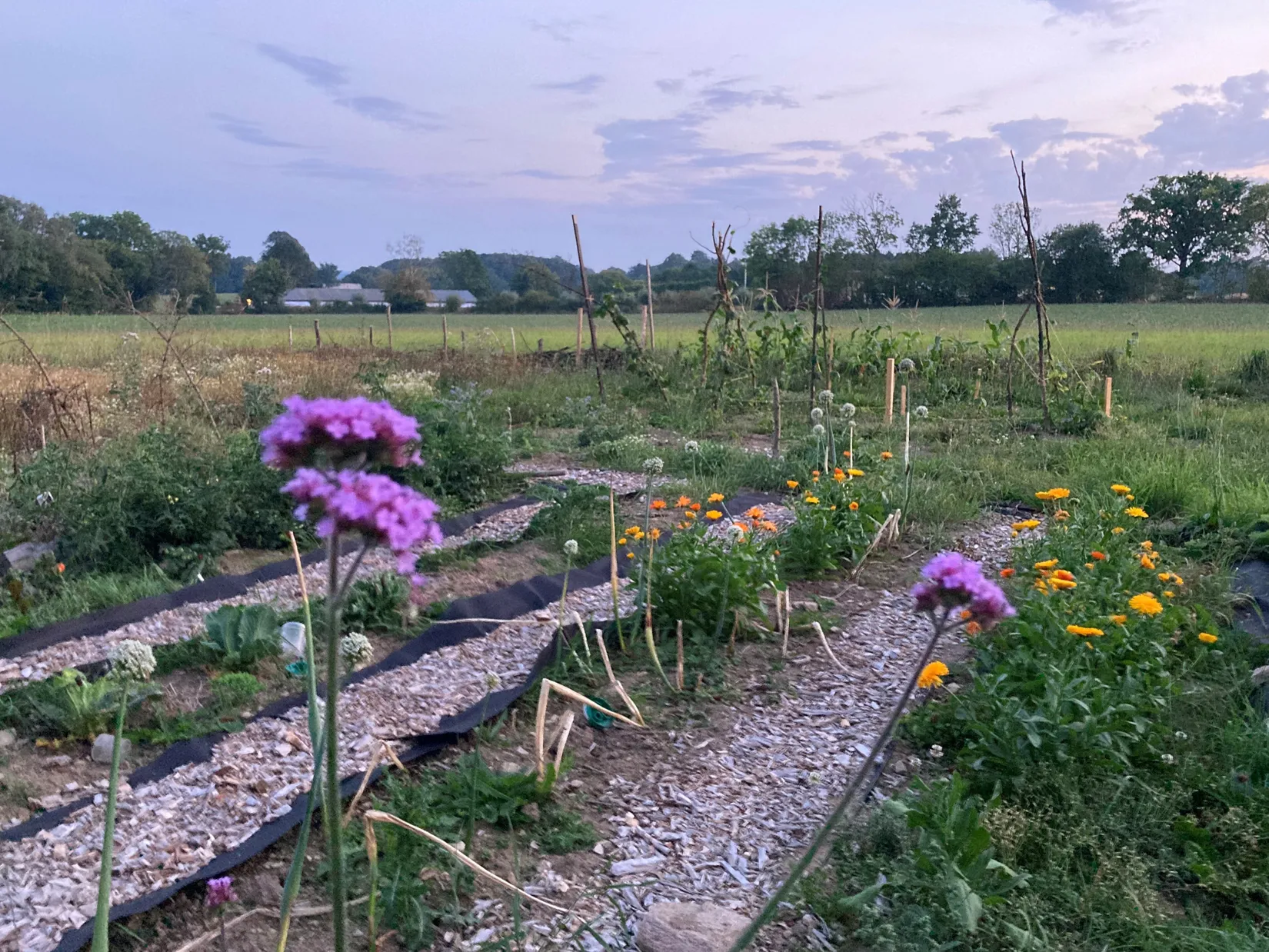 Gård/Skog, Hassle Klövhus, Stehag, Eslöv