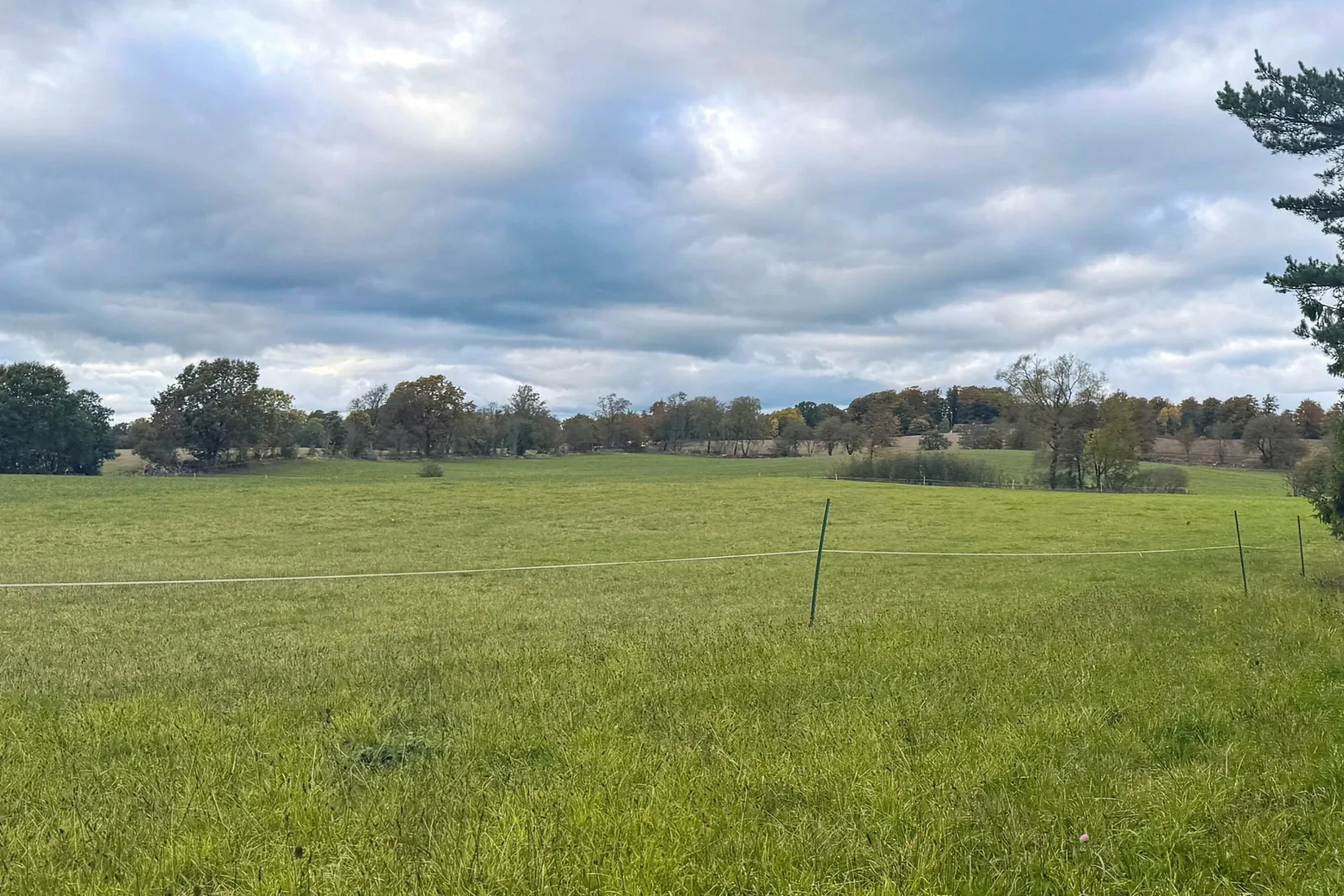 Gård/Skog, Hassle Klövhus, Stehag, Eslöv