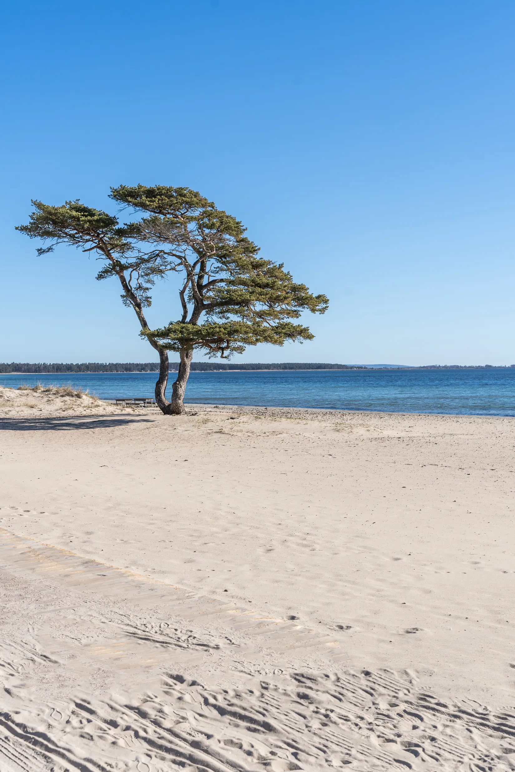 Bostadsrätt, Badvägen 2C, Kristianstad