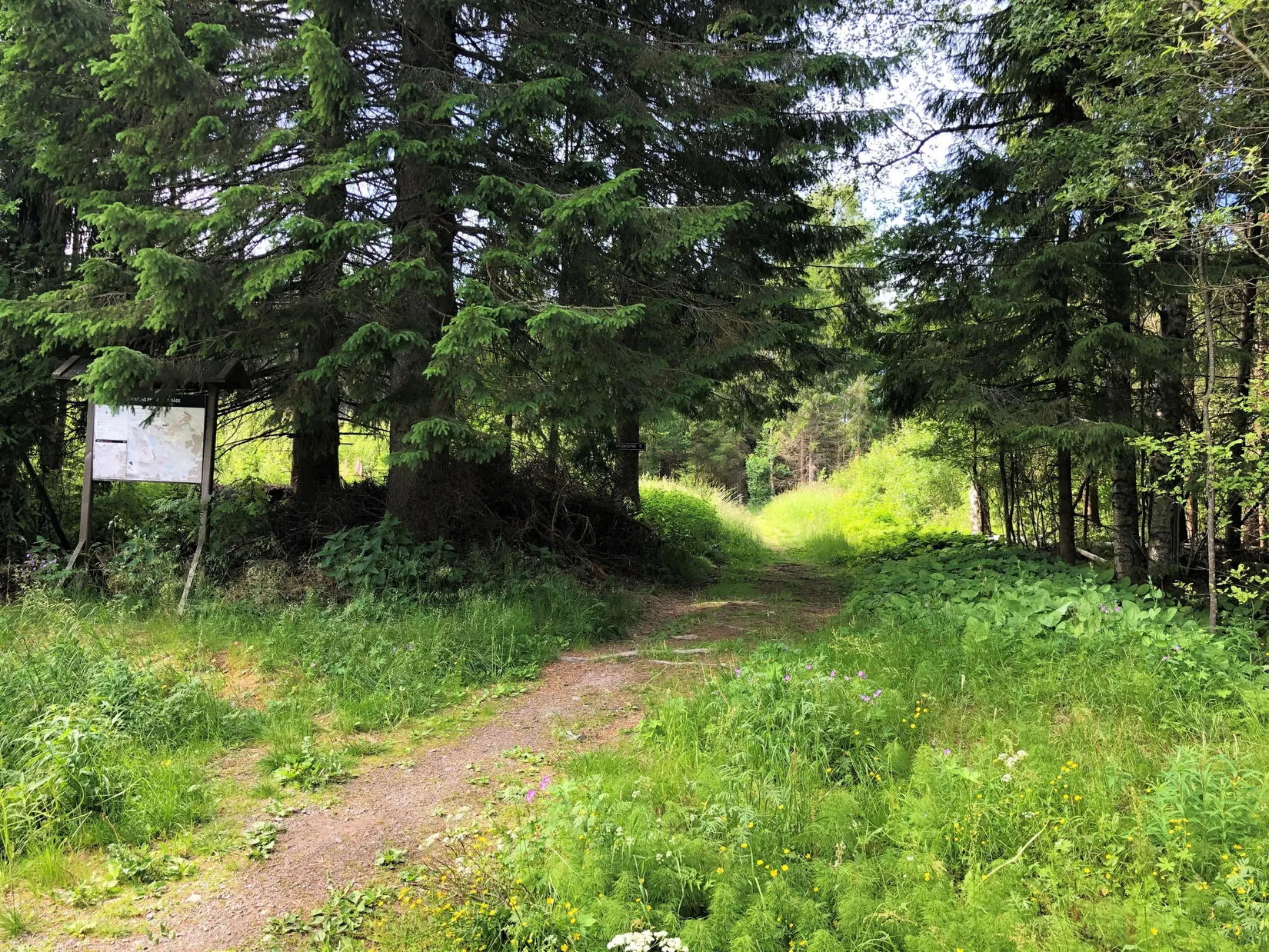 Radhus, Fagottgatan 36, Gånsvik, Härnösand