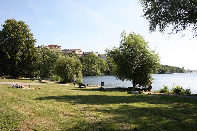 Bostadsrätt, Arbetargatan 23B, 2 tr, Kungsholmen Fridhemsplan, Stockholm