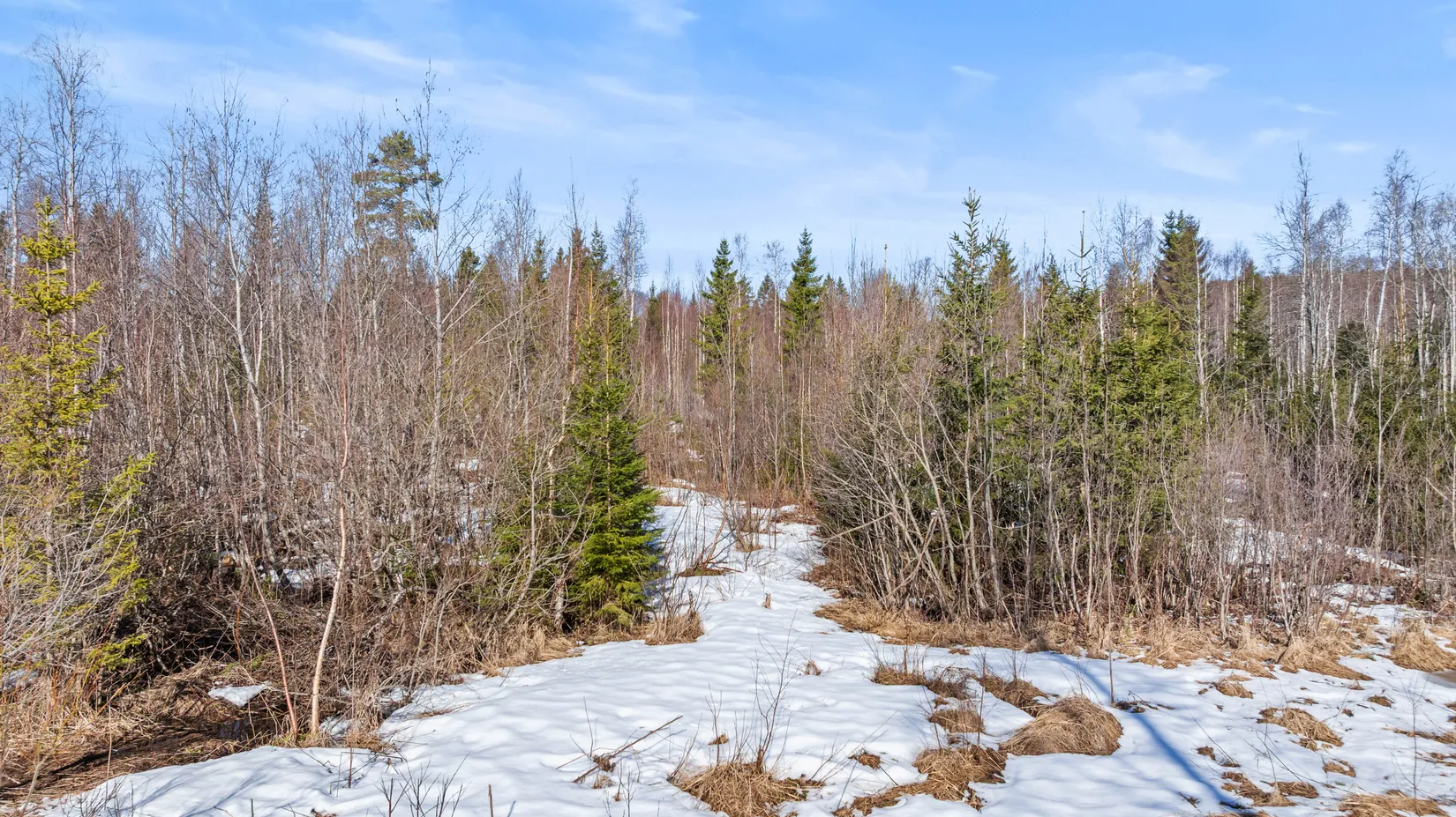 Tomt, Sörnackstavägen, Sörnacksta, Sundsvall
