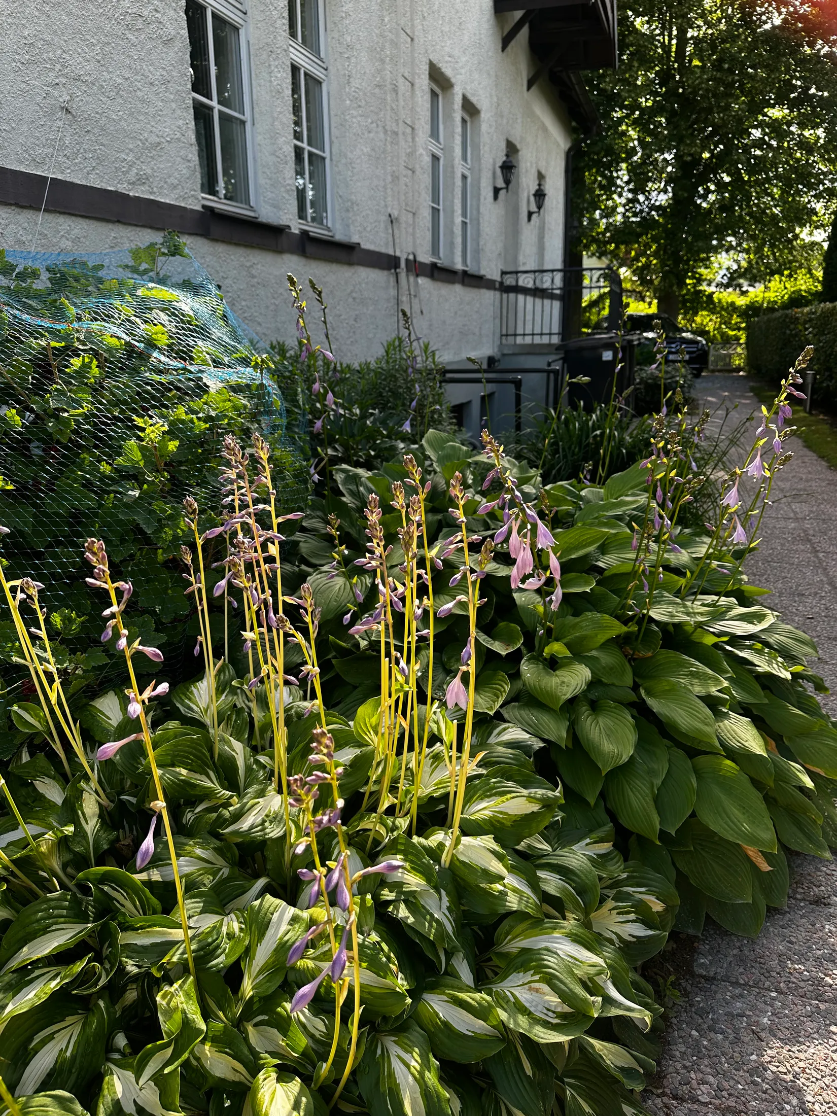 Villa, Kullavägen 16, Åkarp, Burlöv