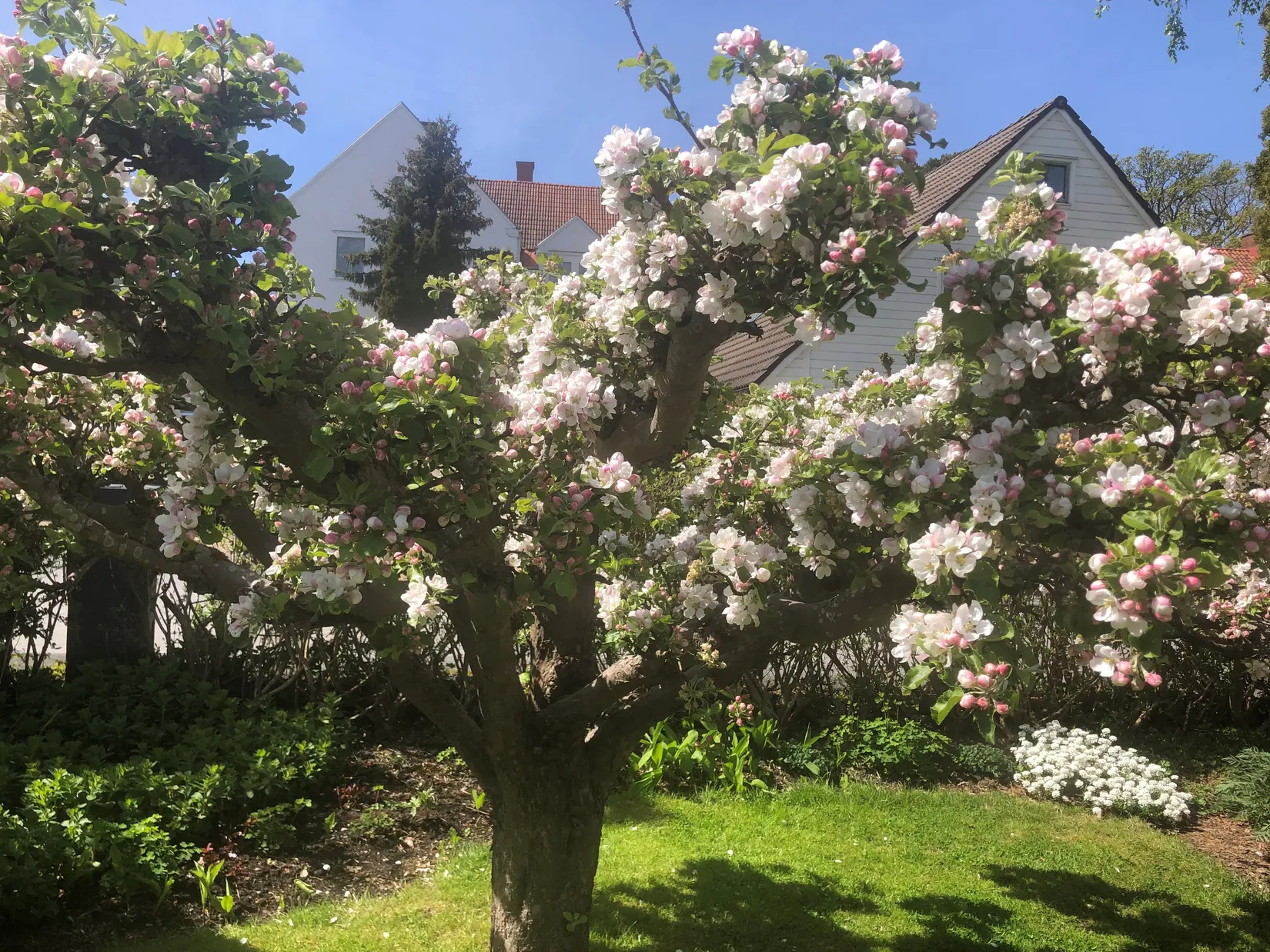 Villa, Radhus, Pärt-Antons gata 55, Påvelund, Göteborg