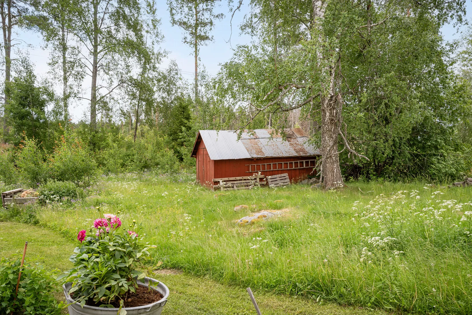 Gård/Skog, Smultrongärde 302, Örbyhus, Tierp