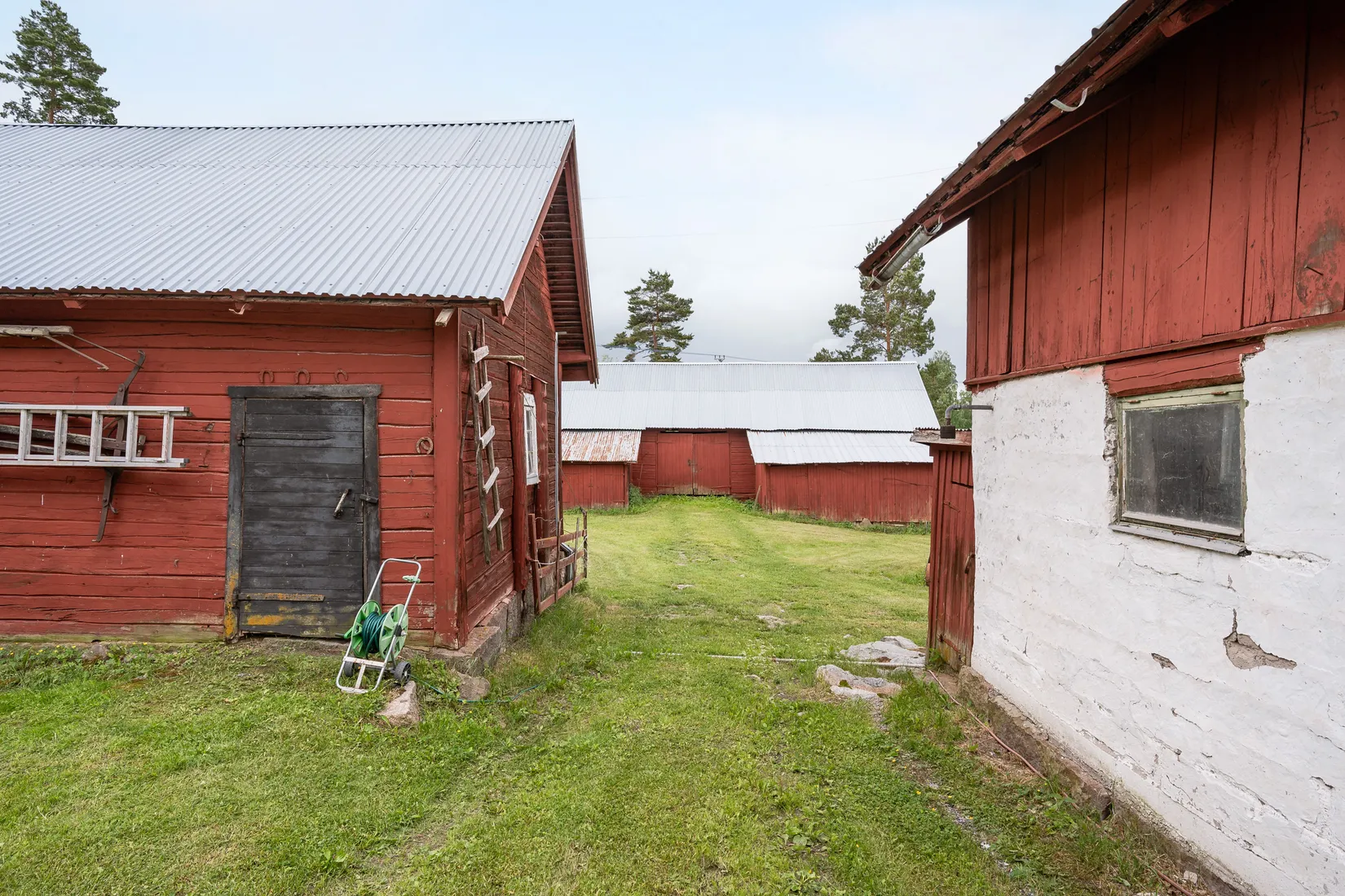 Gård/Skog, Smultrongärde 302, Örbyhus, Tierp