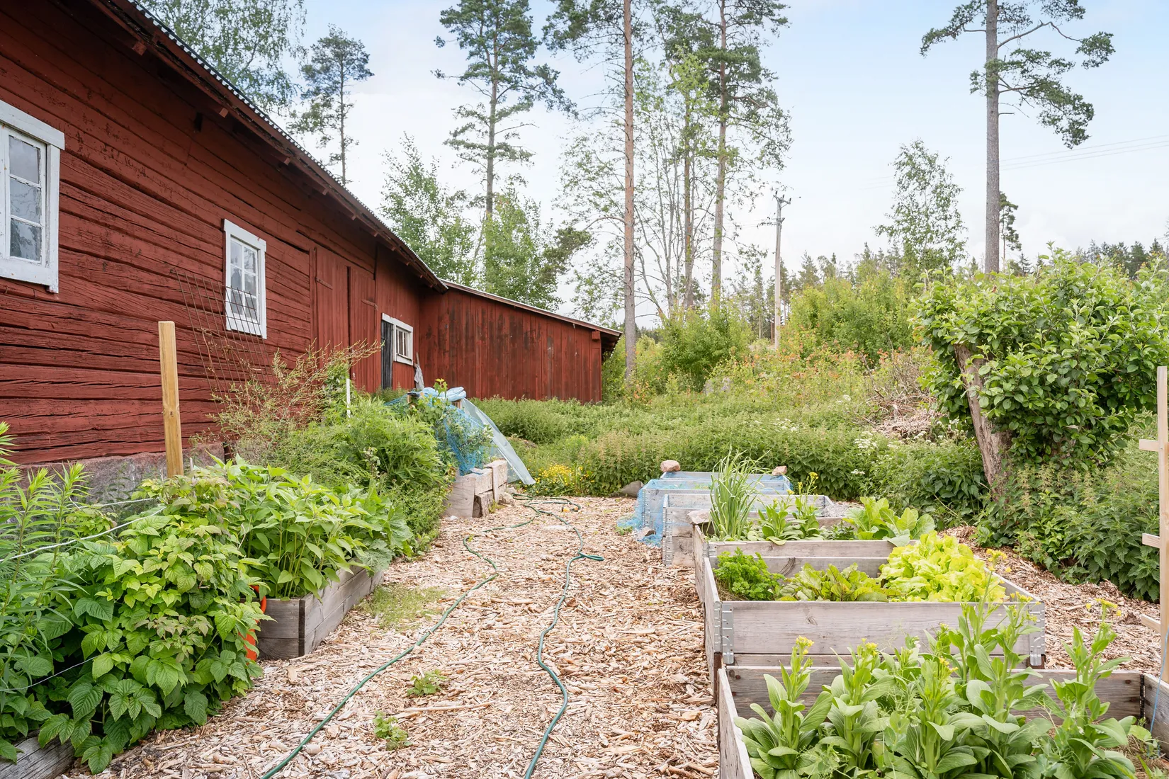 Gård/Skog, Smultrongärde 302, Örbyhus, Tierp