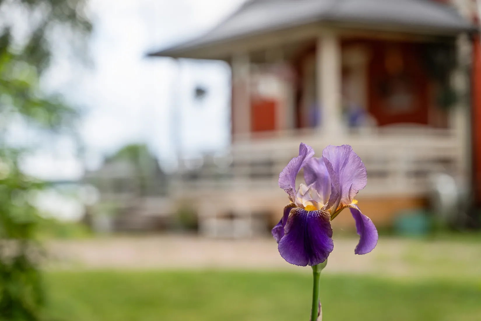 Gård/Skog, Smultrongärde 302, Örbyhus, Tierp