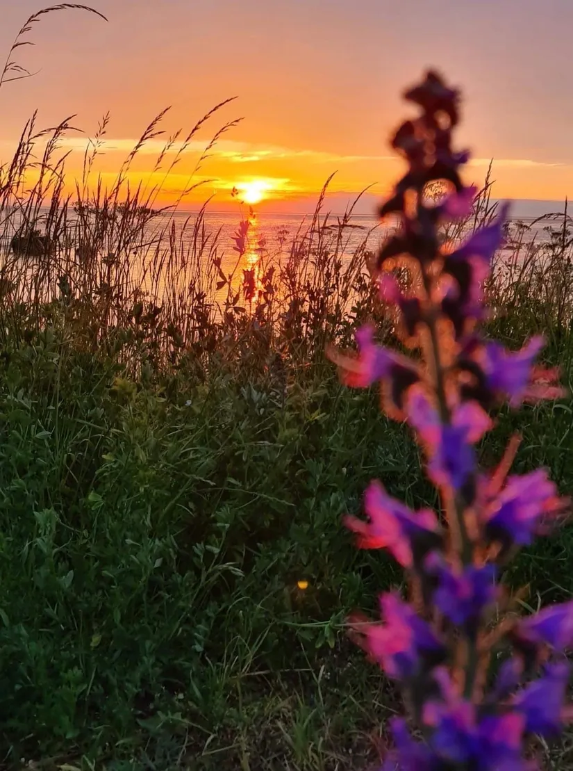 Bostadsrätt, S;t Göransgatan 31, Norderstrand Visby , Gotland