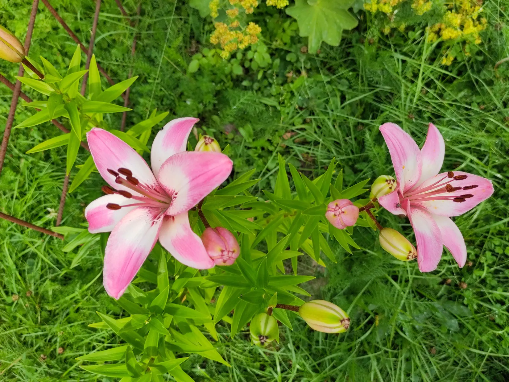 Fritidshus, Metträskvägen 45, Jämtön, Luleå