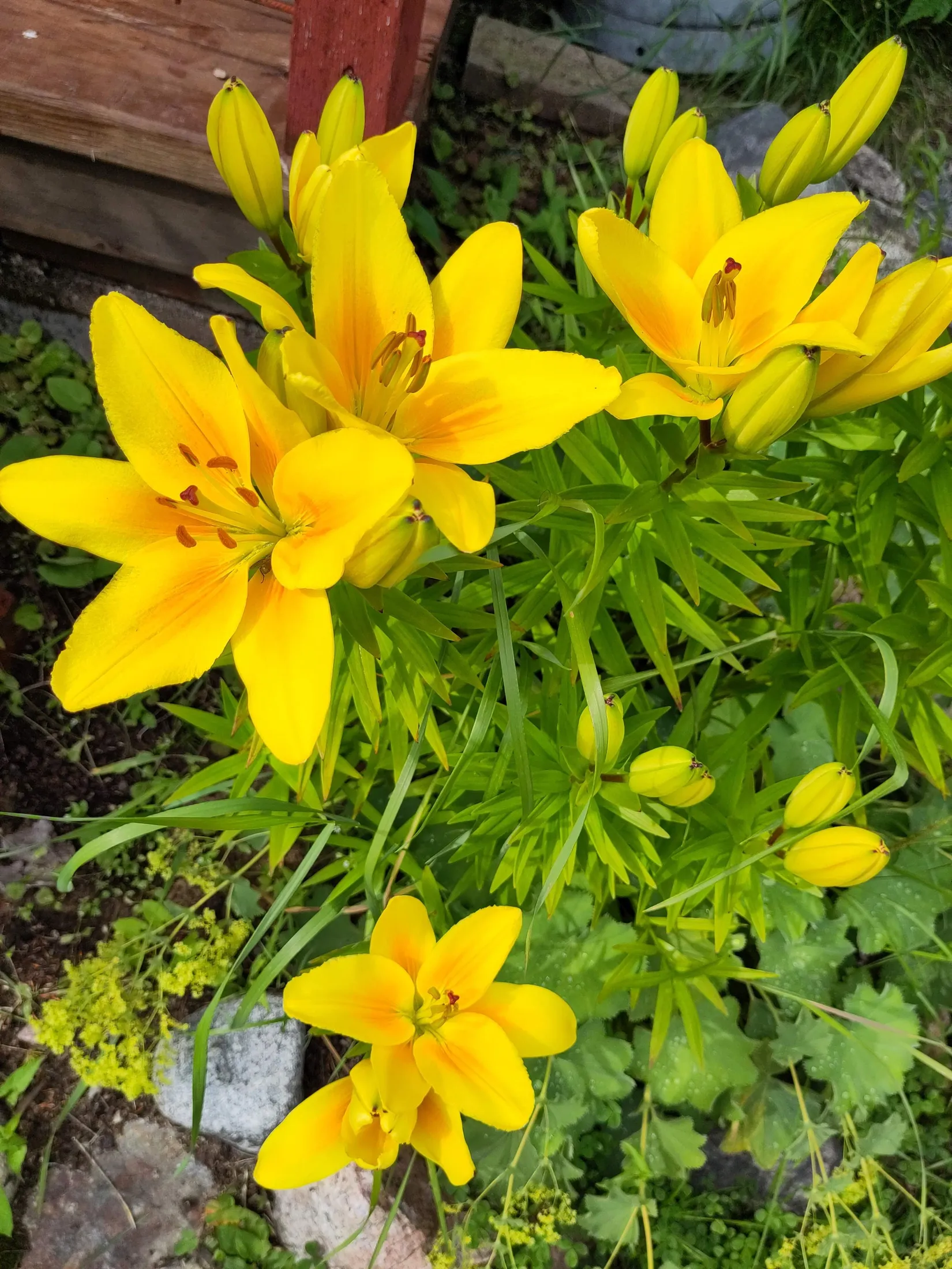 Fritidshus, Metträskvägen 45, Jämtön, Luleå