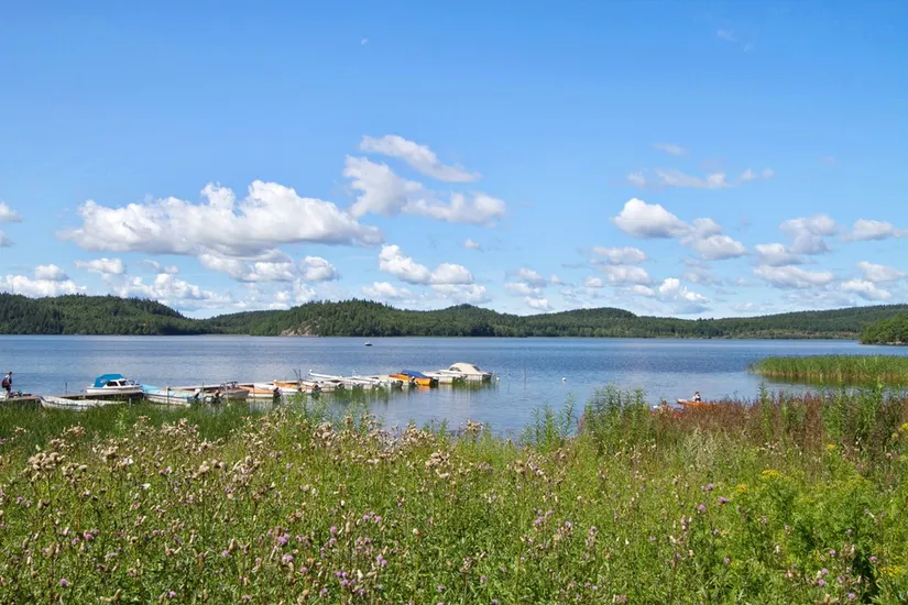 Villa, Stommens väg 6, Hemsjö, Alingsås