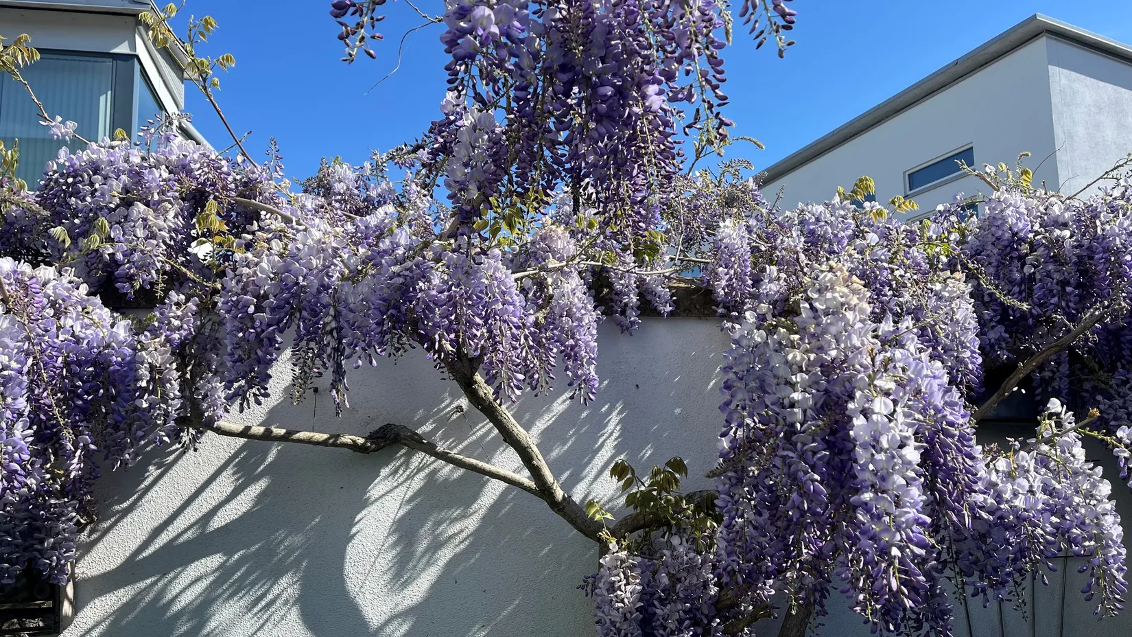 Villa, Radhus, Kryssgränd 37, Strandstaden, Lomma