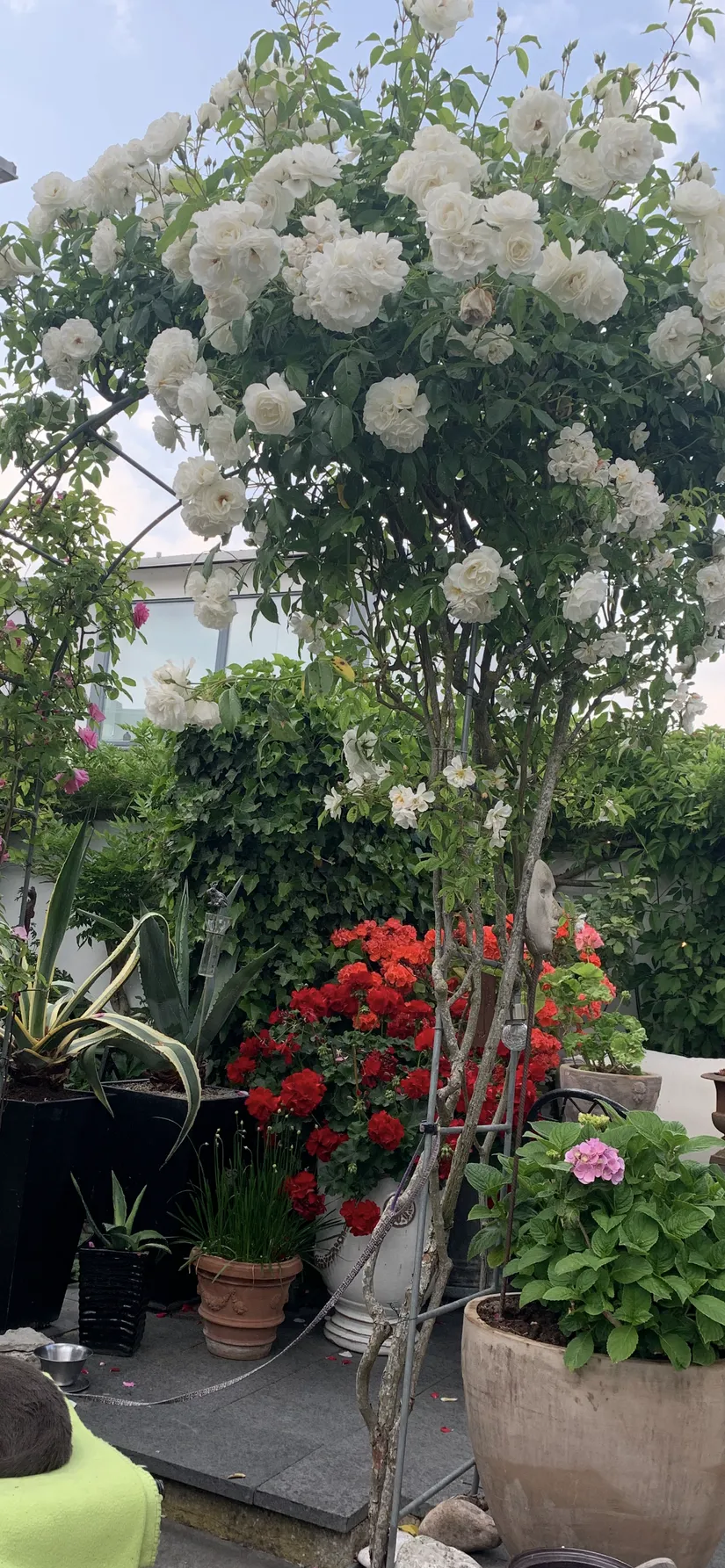 Villa, Radhus, Kryssgränd 37, Strandstaden, Lomma