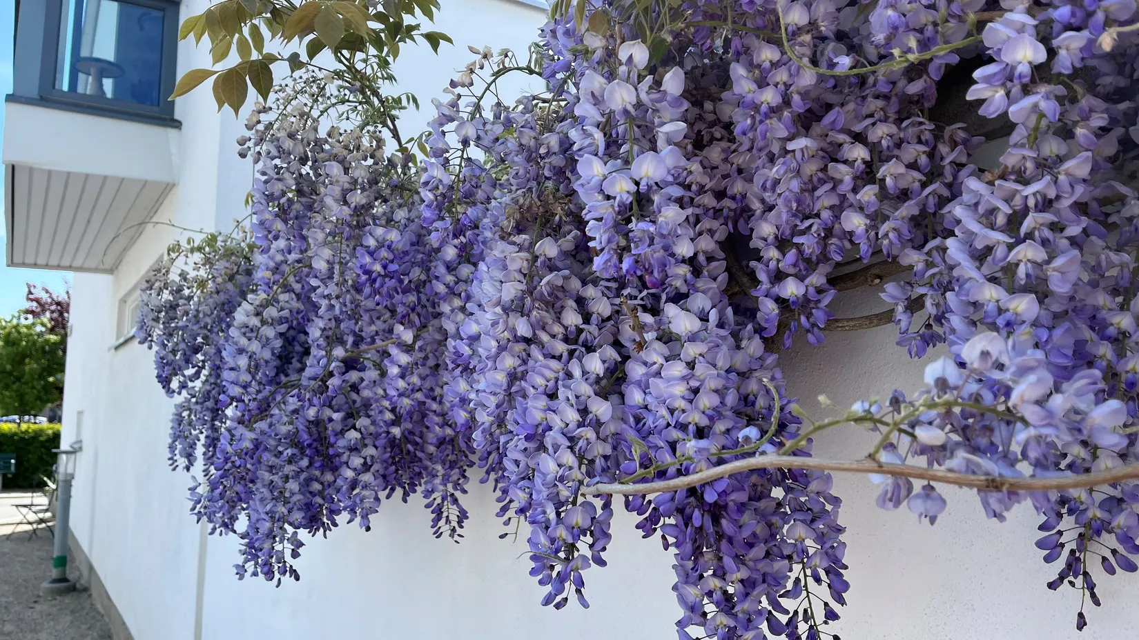 Villa, Radhus, Kryssgränd 37, Strandstaden, Lomma