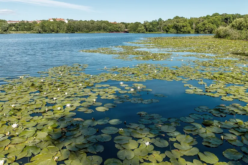 Bostadsrätt, Snörmakarvägen 35A, Bromma - Åkeshov, Stockholm