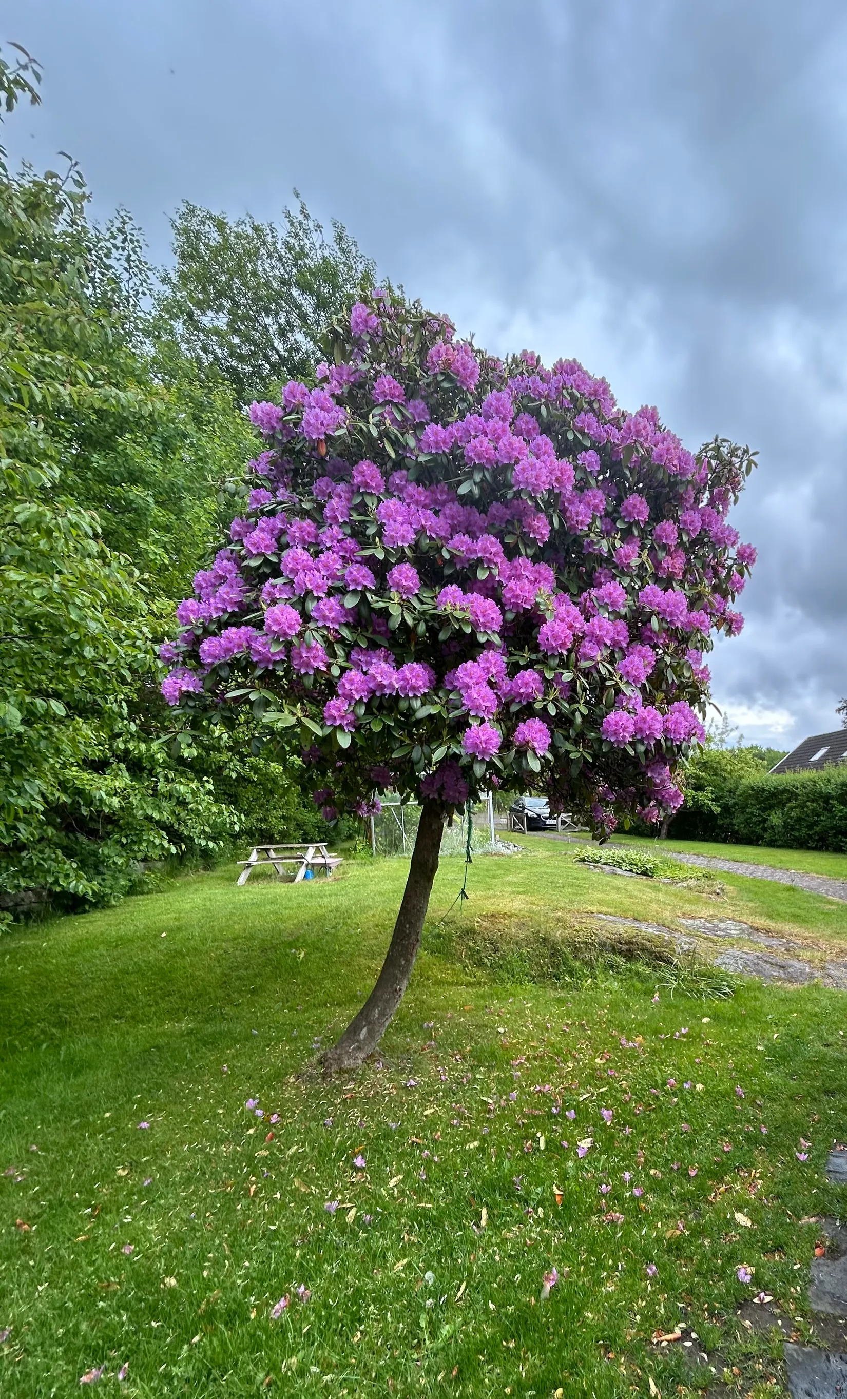 Villa, Solfågelsvägen 23, Olofstorp - Knipared, Göteborg