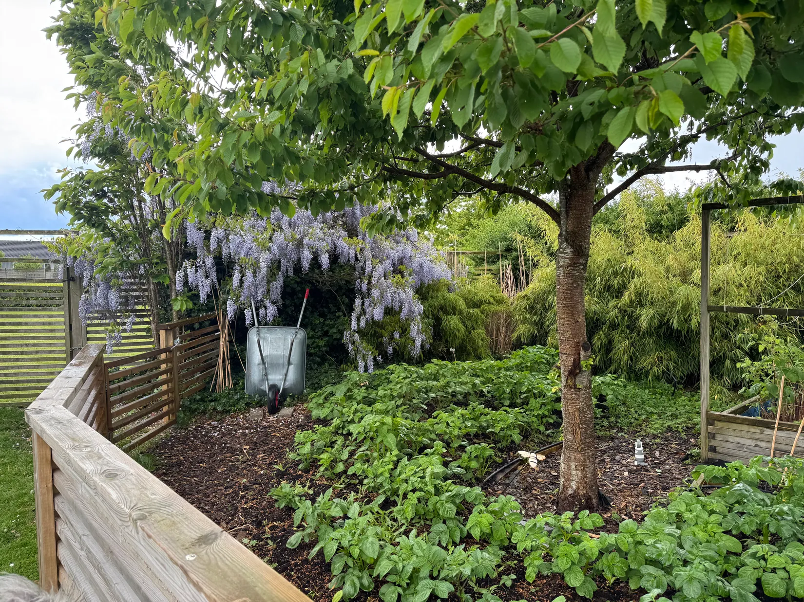 Villa, Tornspiregatan 14, Tygelsjö, Malmö