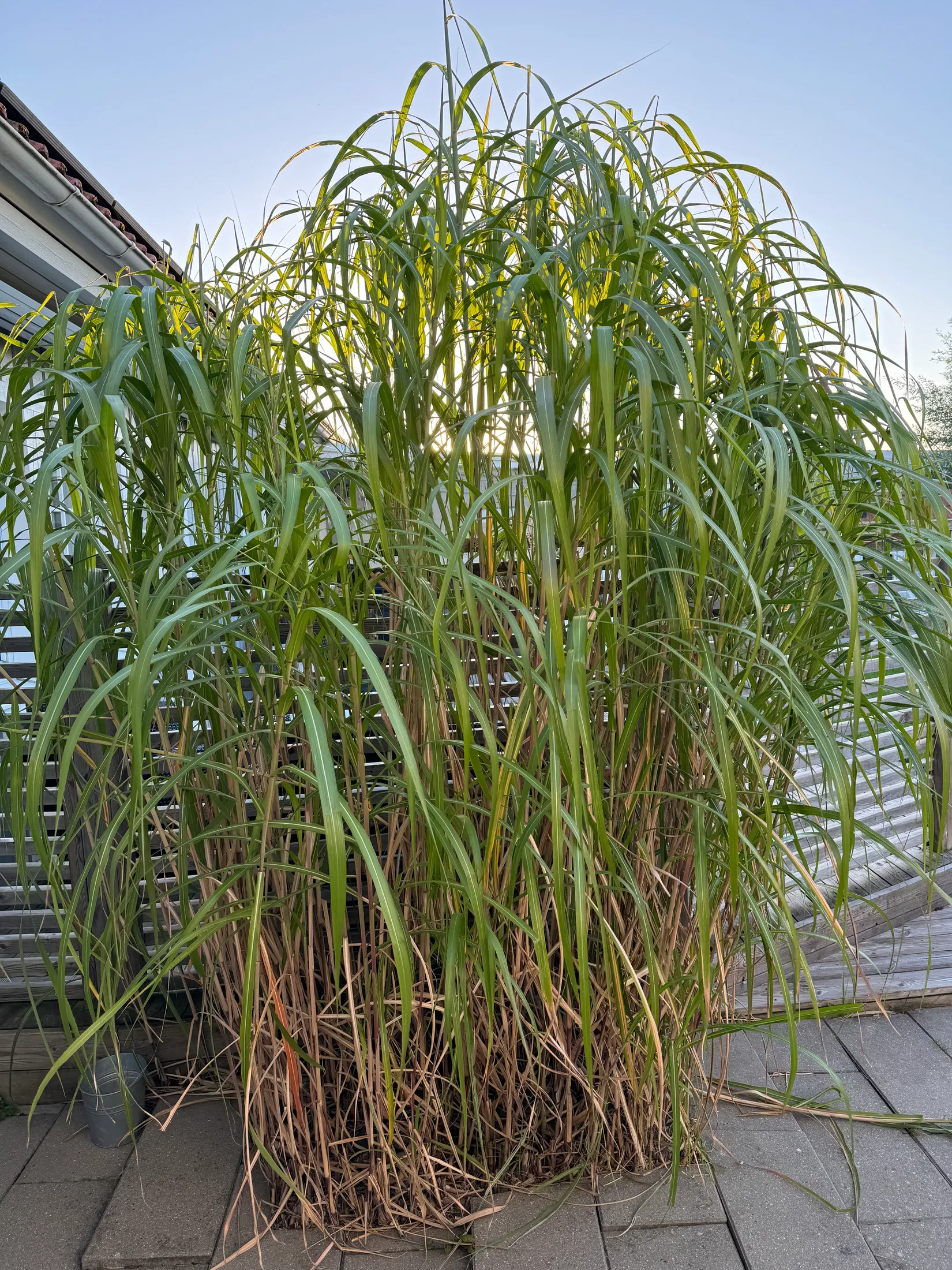 Villa, Tornspiregatan 14, Tygelsjö, Malmö