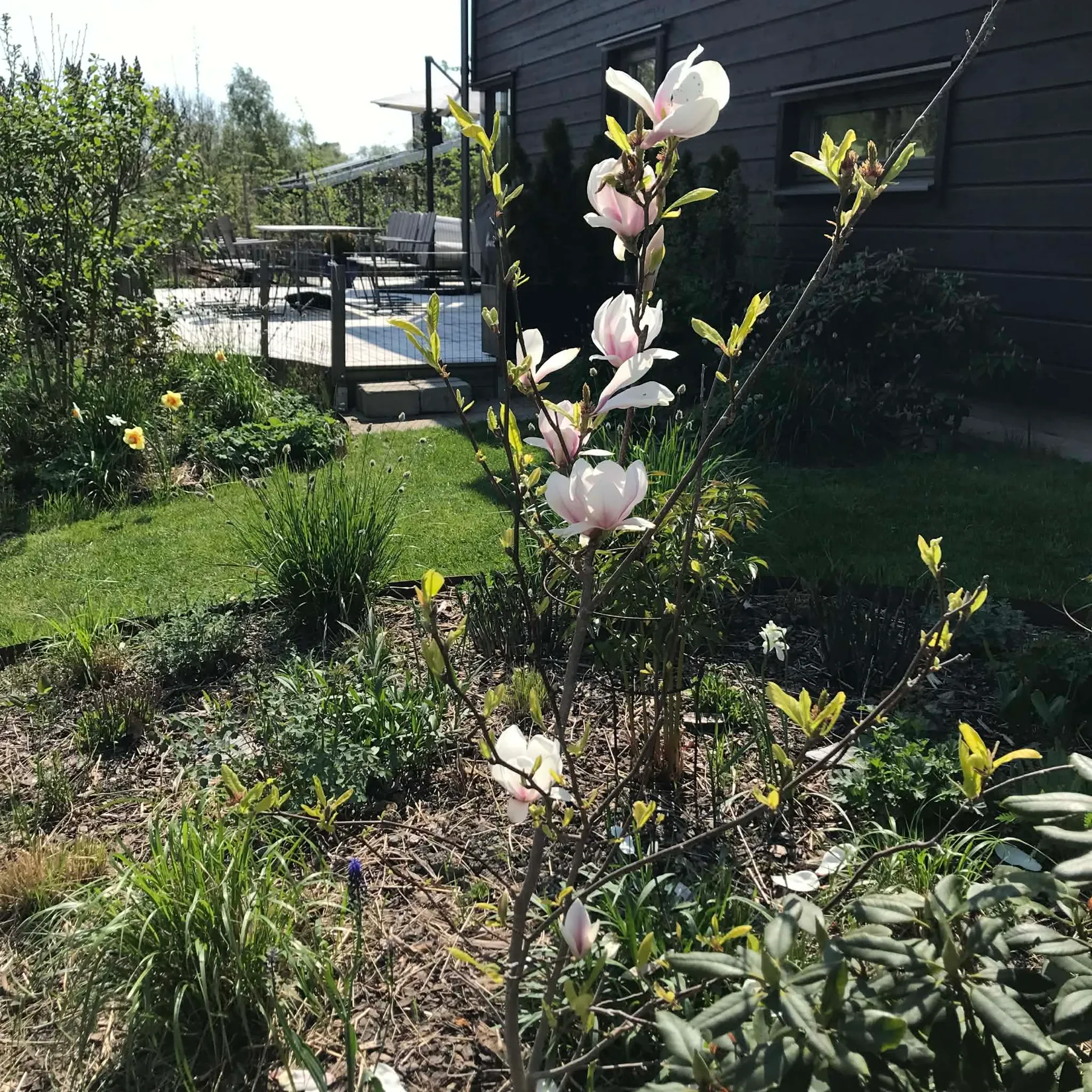 Villa, Sundviksvägen 42, Tjuvkil, Kungälv